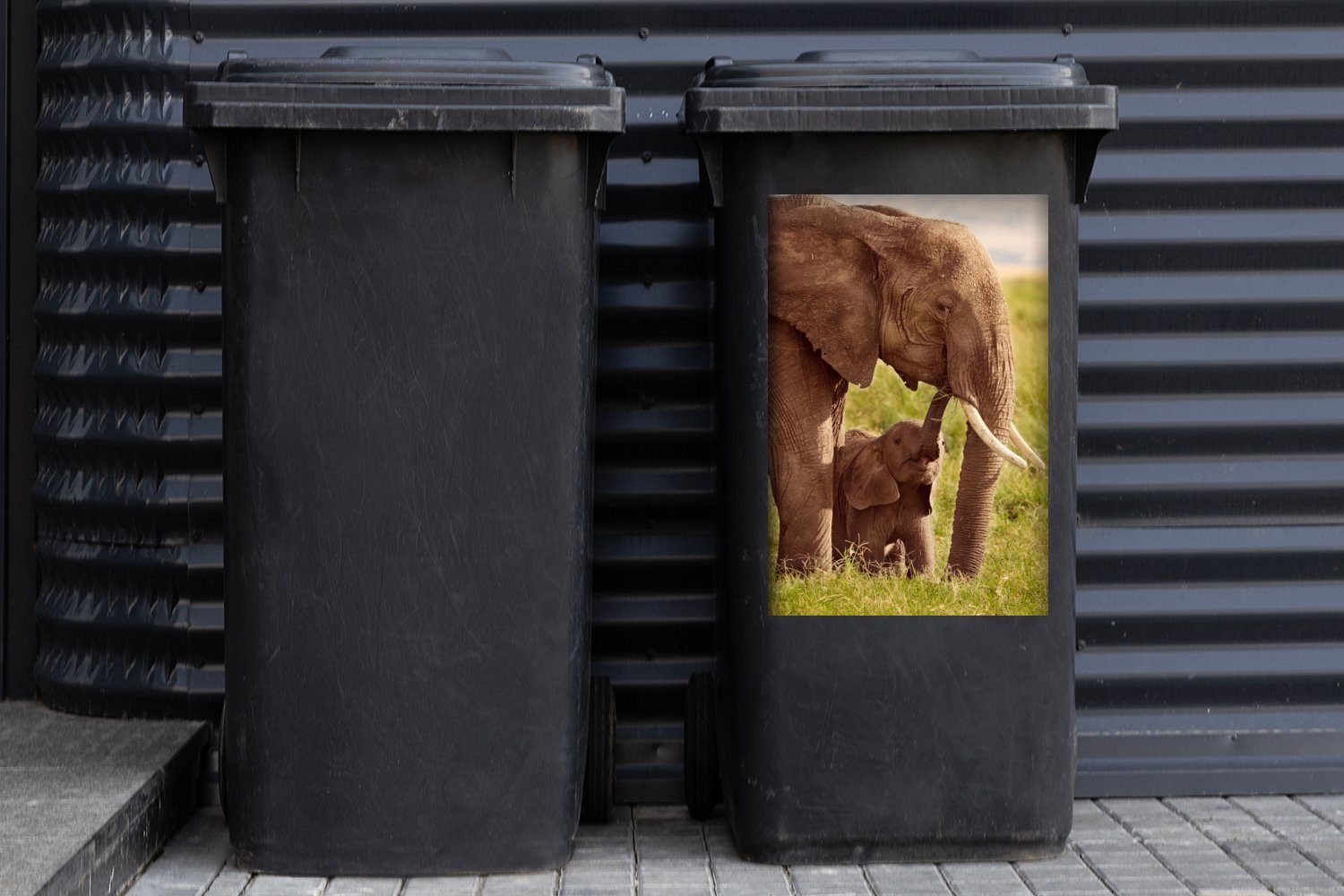 Gras Mülltonne, - Jung (1 Container, - St), Rüssel Mülleimer-aufkleber, Wandsticker Abfalbehälter Elefant MuchoWow Sticker, -