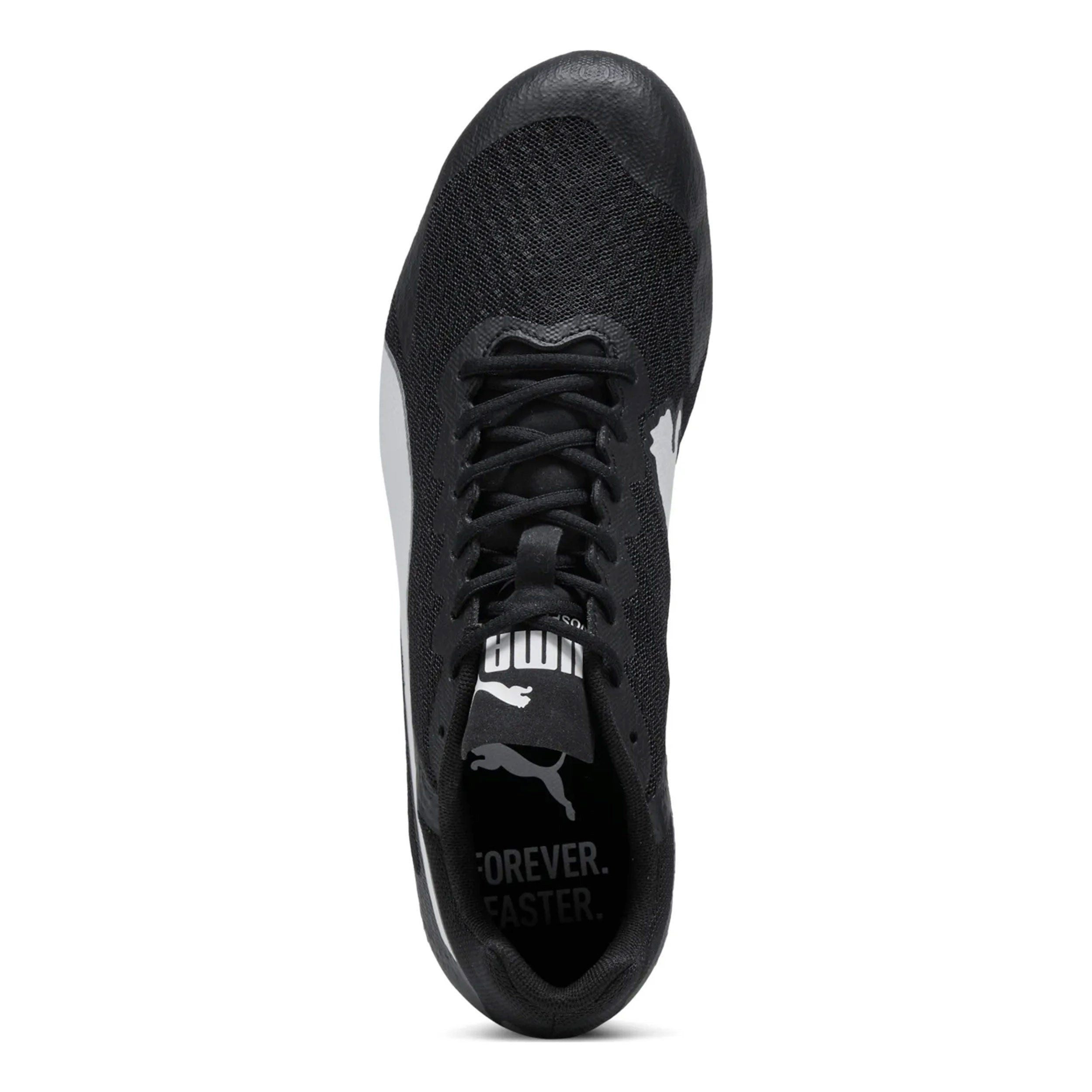 PUMA Evospeed Star 9 - Spikeschuh Laufschuh