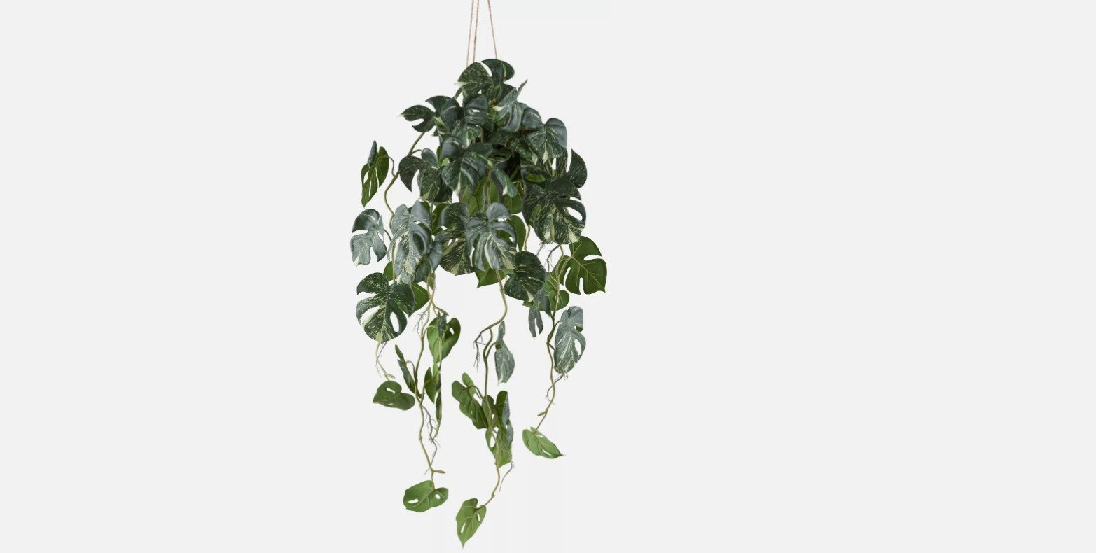 Kunstpflanze Kunstpflanze Splitphilodendron Hängeampel Höhe 80cm, Creativ green