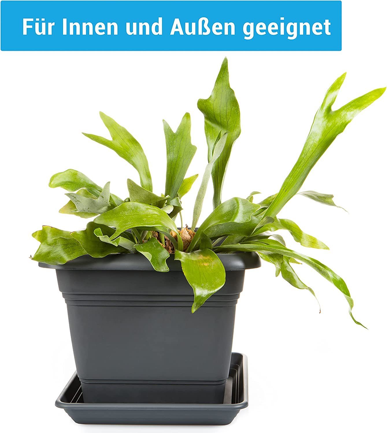 (Spar 28 Blumenkübel Set, Groß inkl. Pflanzkübel Centi x Untersetzer Blumentopf Pflanztöpfe Gross Anthrazit mit Löcher St., Blumentopf Blumentöpfe Außen, 6 28cm),