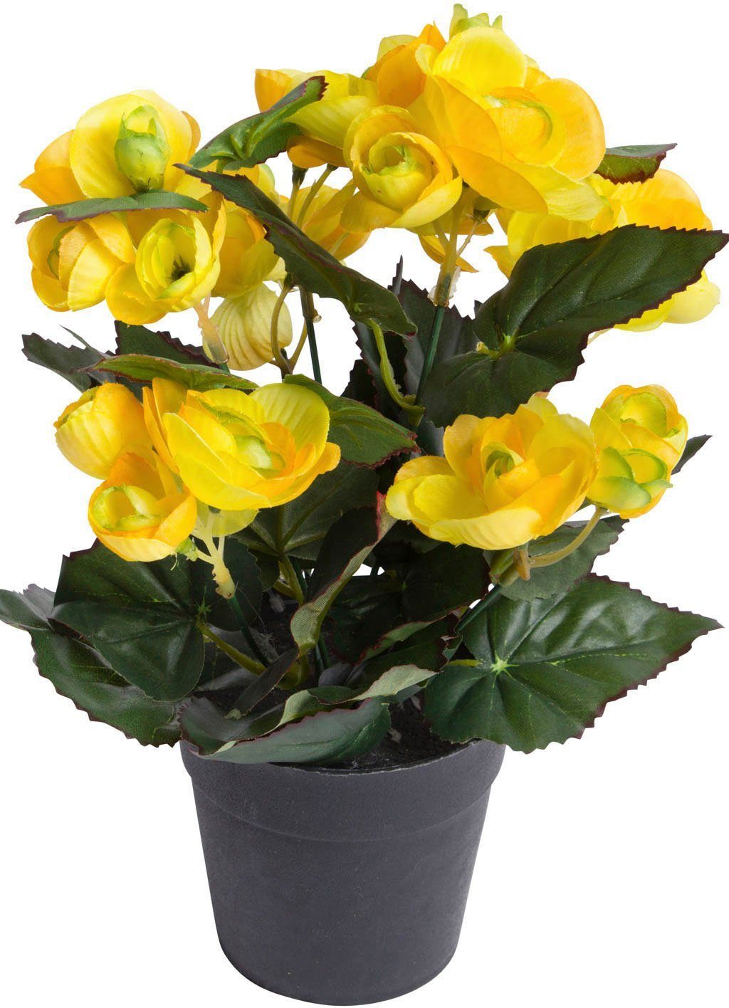 Kunstblume Begonienbusch mit 7 Stielen, Botanic-Haus, günstig online kaufen