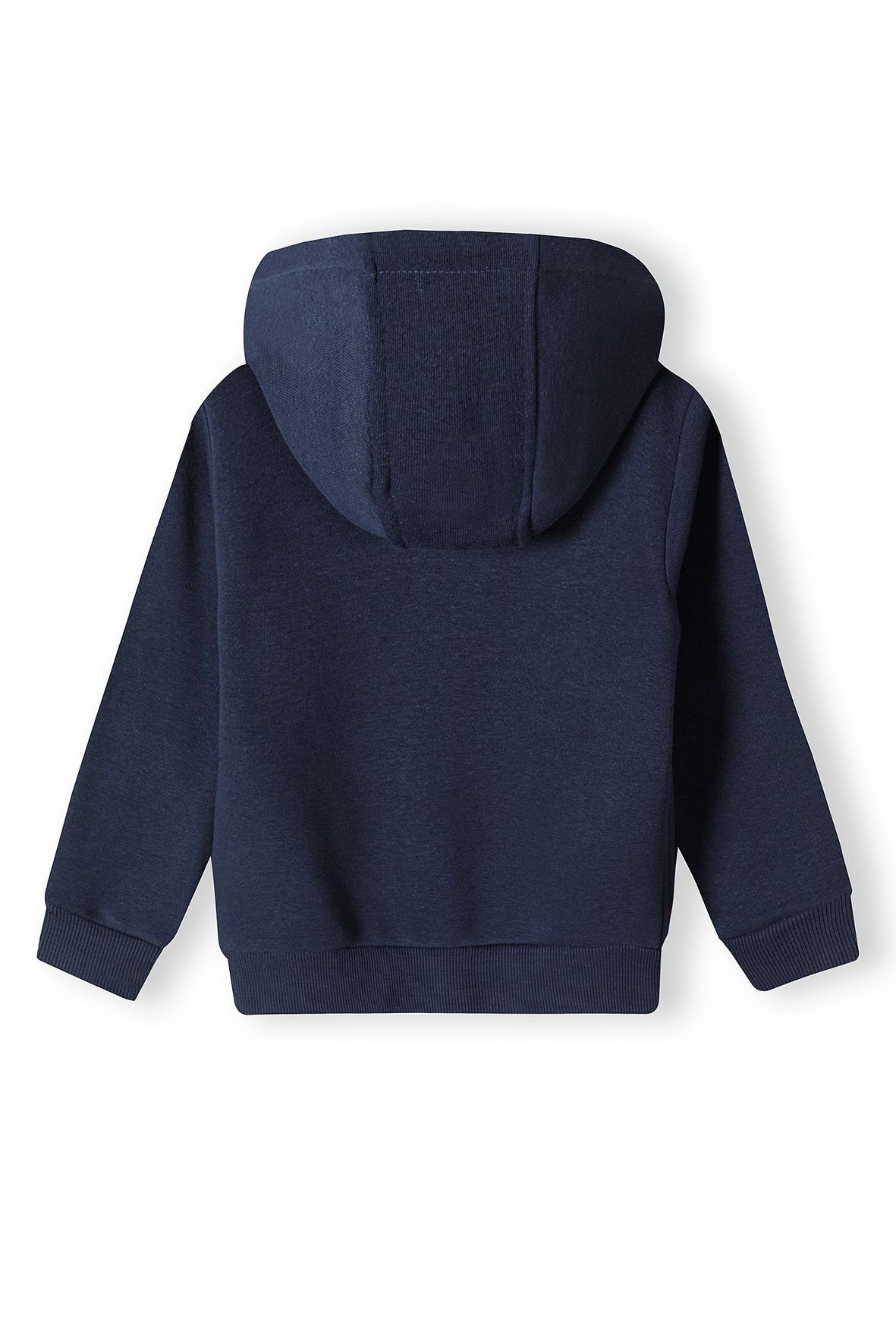 MINOTI Kapuzensweatshirt mit Stickerei (12m-14y) Blau