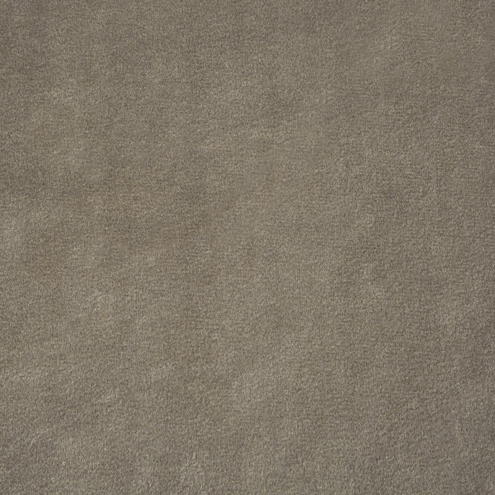 Design91 Vorhang Samtvorhänge 140x250 cm (1 St), Ösen, blickdicht, Samt, Wohnzimmer – Bild 5 von 5