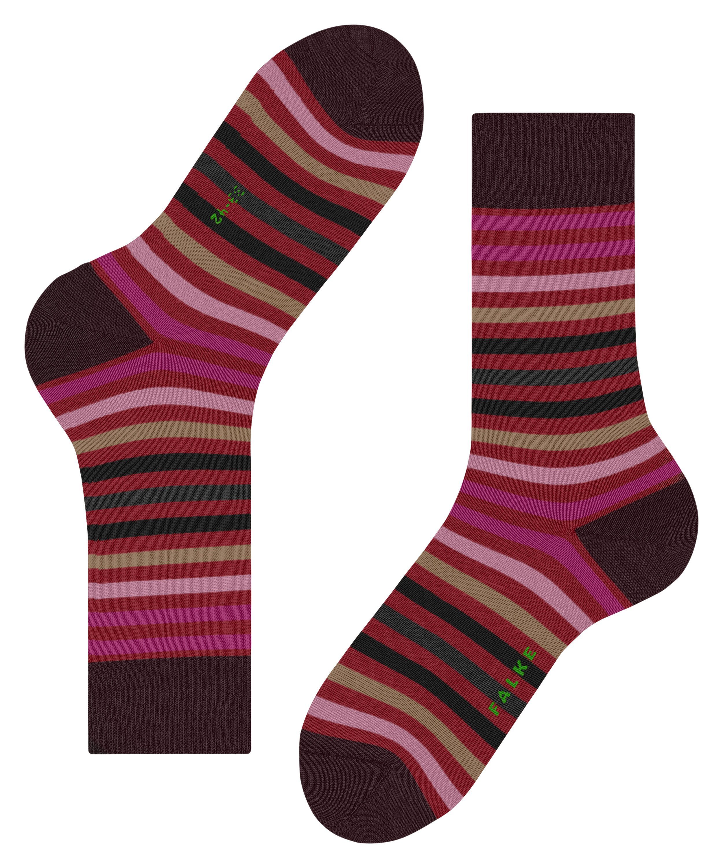 FALKE Socken Tinted Stripe (1-Paar) mit merzerisierter Baumwolle