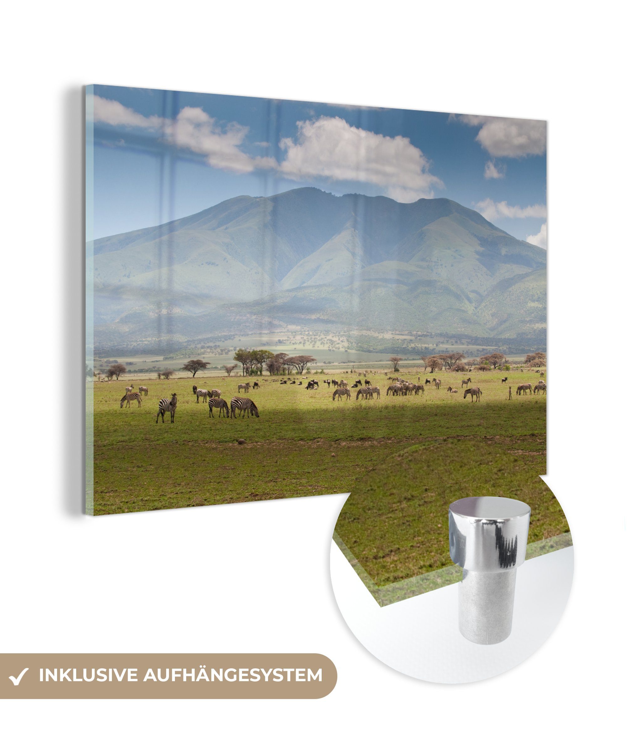 MuchoWow Acrylglasbild Wilde Tiere grasen in der Savanne des Serengeti-Nationalparks, (1 St), Acrylglasbilder Wohnzimmer & Schlafzimmer
