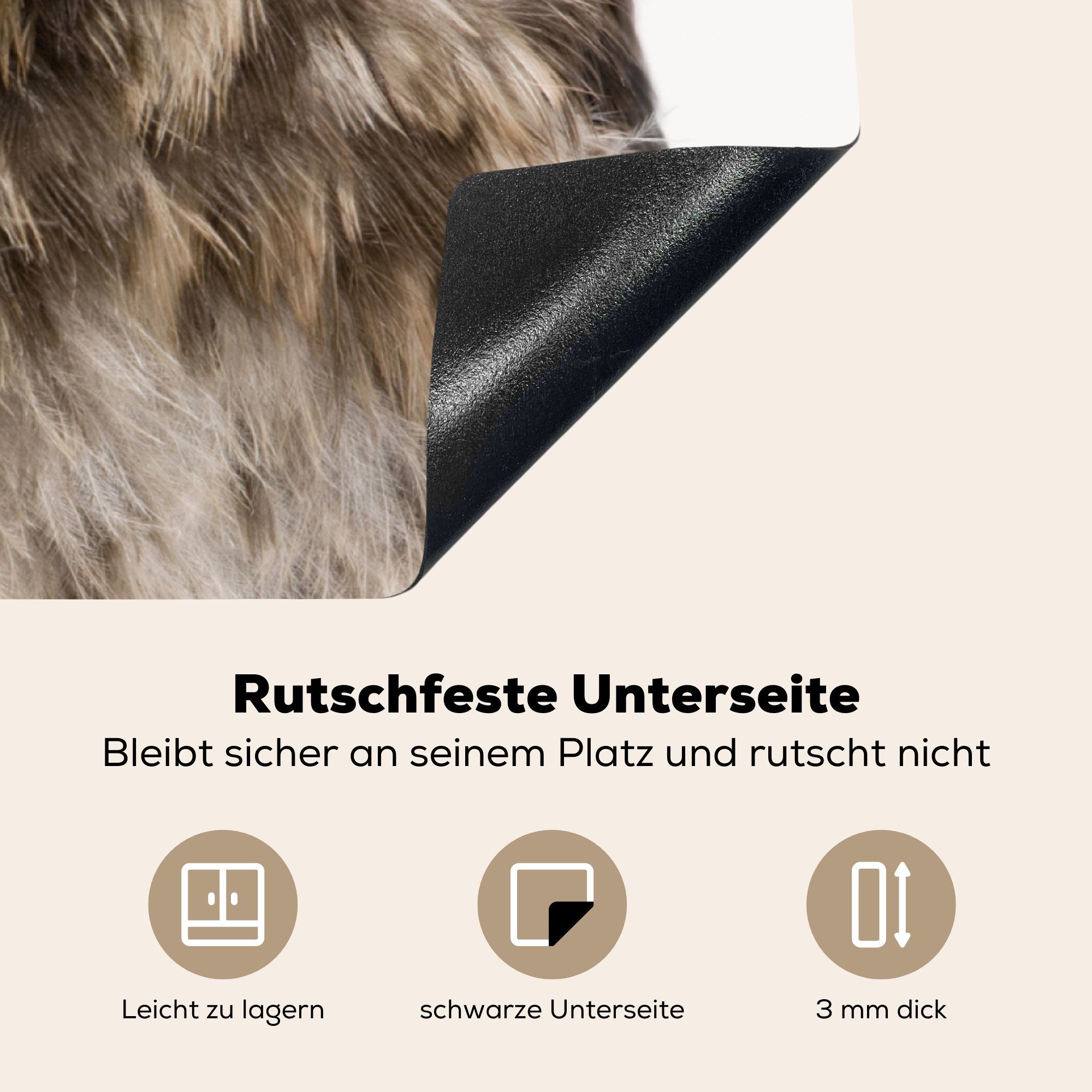 MuchoWow Herdblende-/Abdeckplatte Tiere für Eule cm, Ceranfeldabdeckung, Vinyl, tlg), Weiß, Arbeitsplatte 78x78 - küche (1 