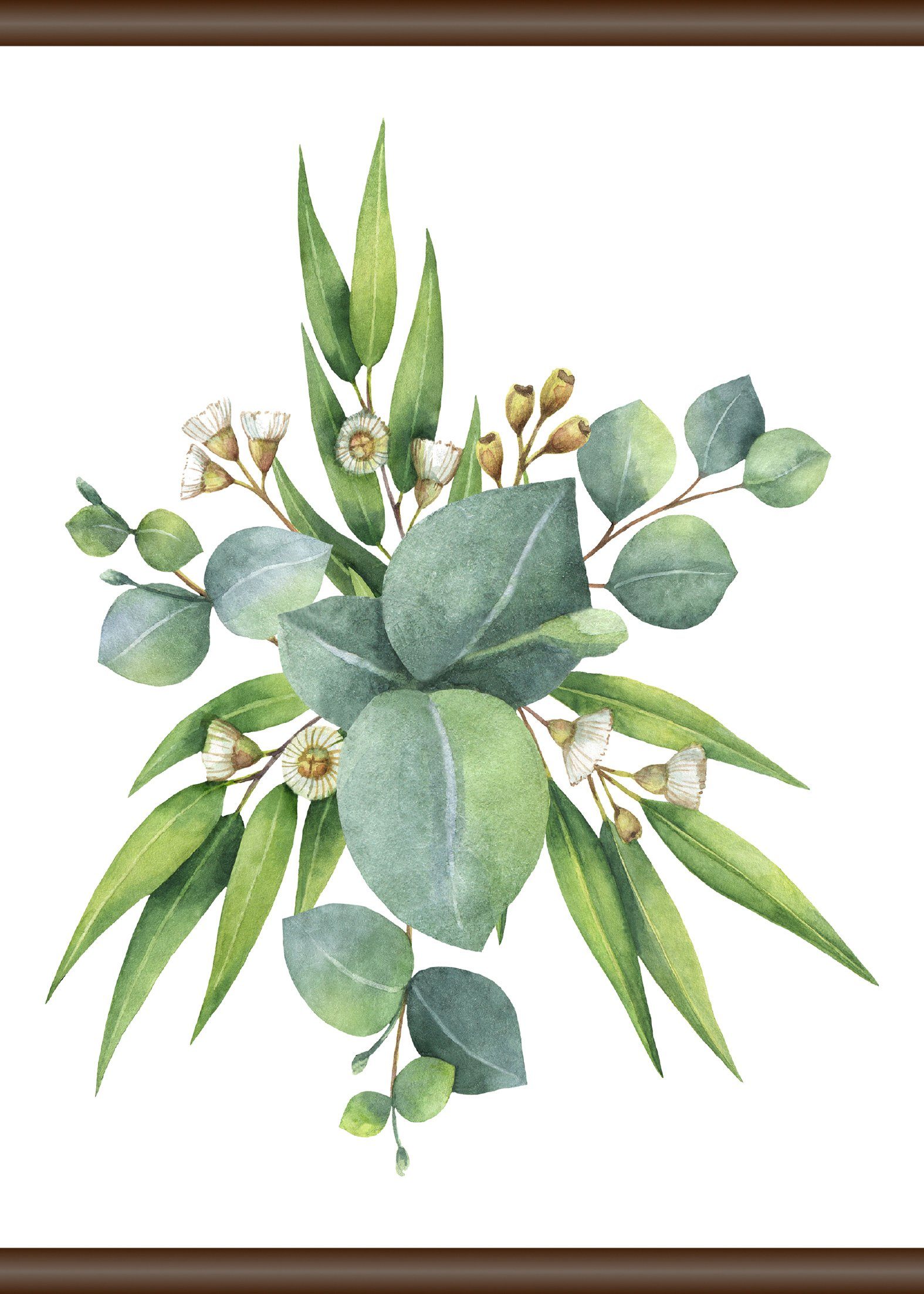 queence Leinwandbild Eukalyptus Pflanze, 50x70 Motiv cm, und Individuelles junges Designs