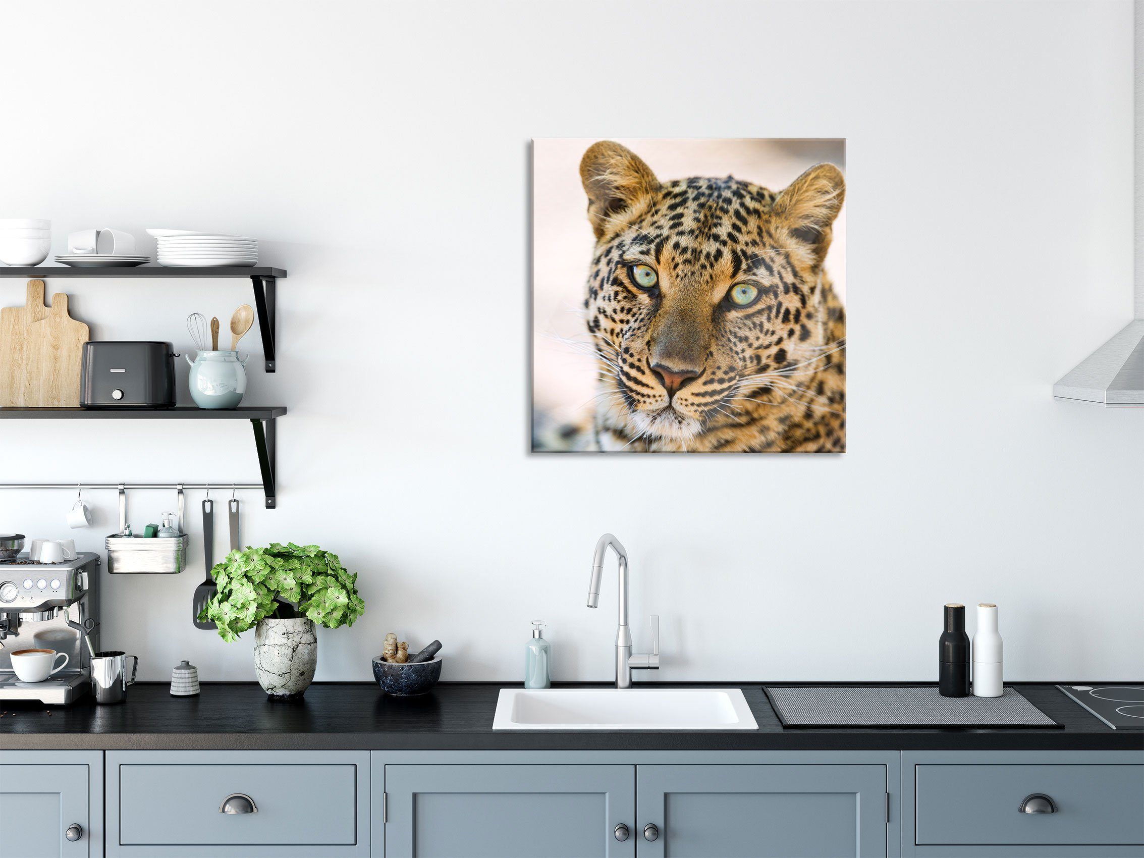 Leopard Glasbild aus St), Glasbild schöner inkl. (1 Aufhängungen und Echtglas, Pixxprint schöner Leopard, Abstandshalter
