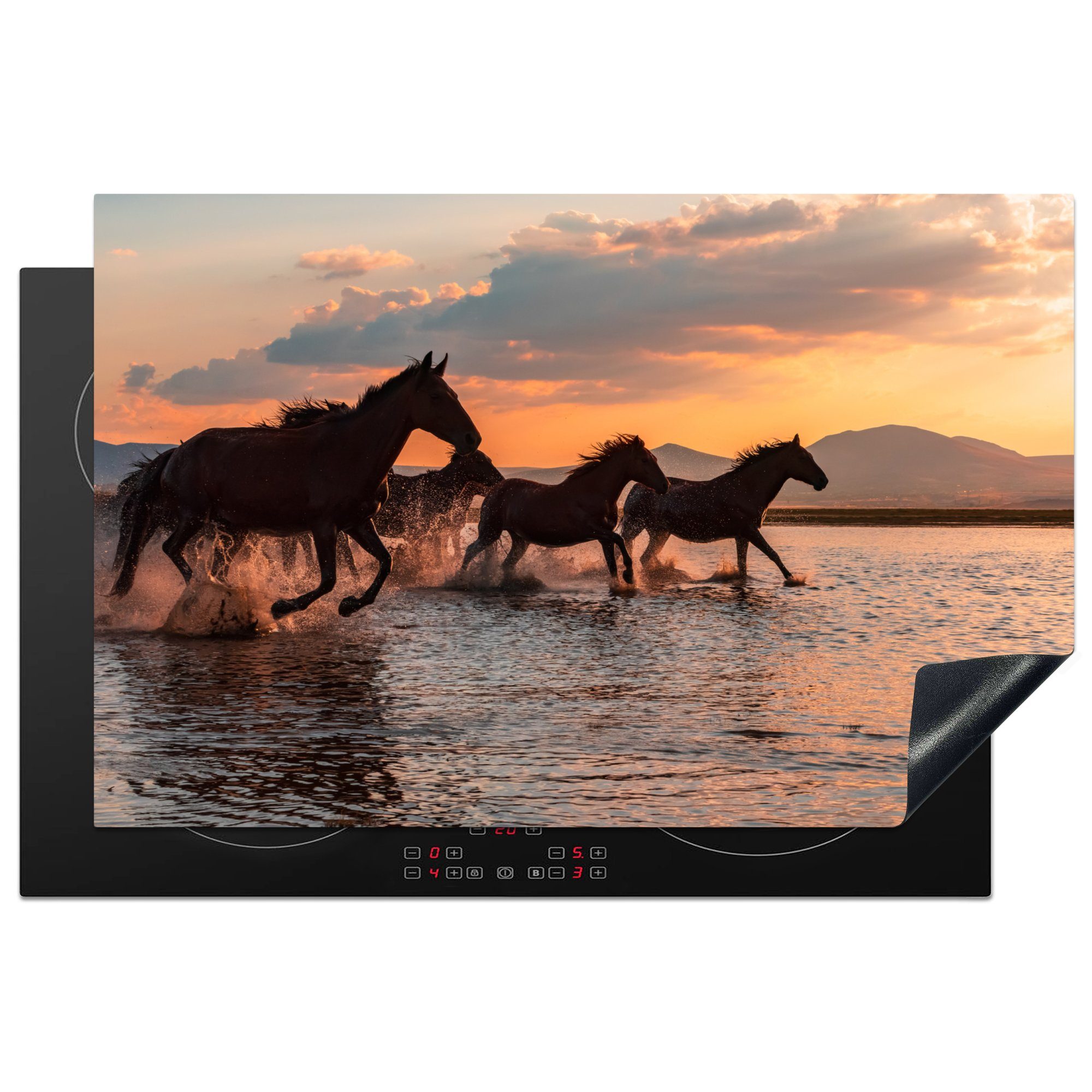 MuchoWow Herdblende-/Abdeckplatte Pferde auf dem Wasser in der Türkei, Vinyl, (1 tlg), 81x52 cm, Induktionskochfeld Schutz für die küche, Ceranfeldabdeckung