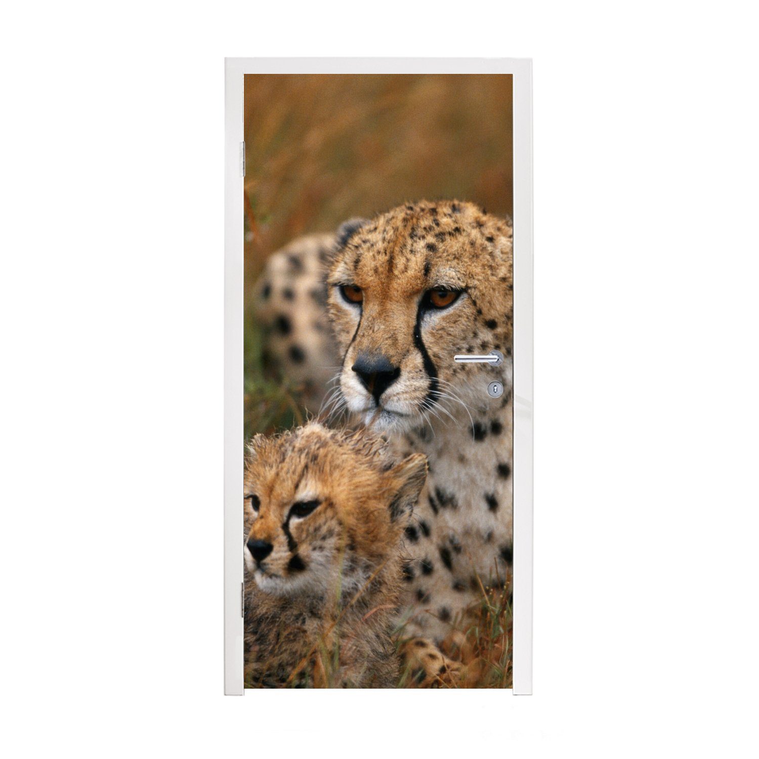 MuchoWow Türtapete Geparden sitzen zusammen, Matt, bedruckt, (1 St), Fototapete für Tür, Türaufkleber, 75x205 cm