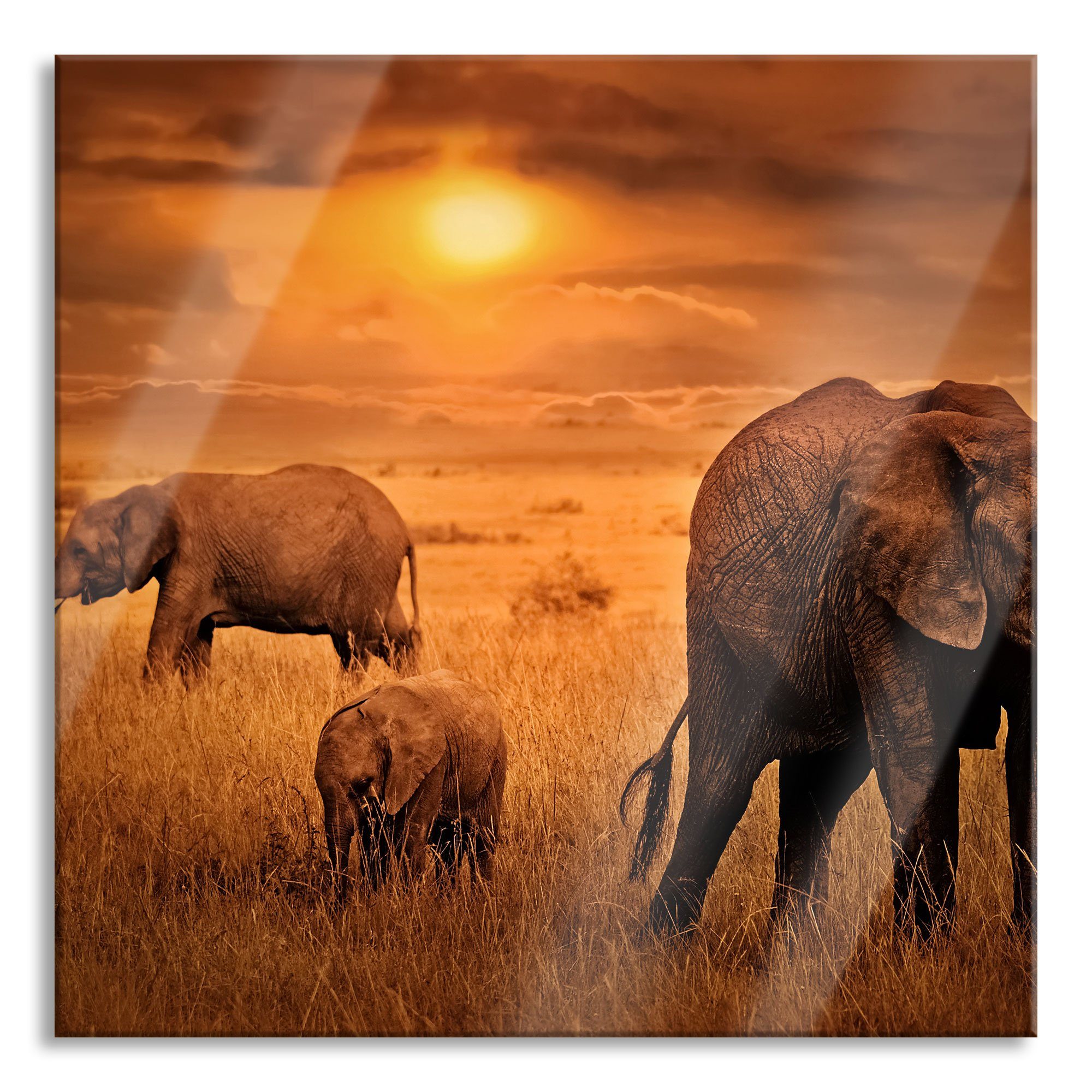 Echtglas, Aufhängungen St), Savanne in Glasbild der aus und in inkl. der Elefanten Glasbild Elefanten Pixxprint (1 Abstandshalter Savanne,
