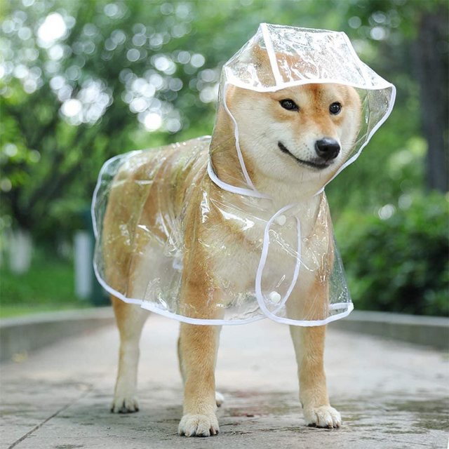 FeelGlad Hunderegenmantel mit Kapuze,verstellbar, PVC, transparent