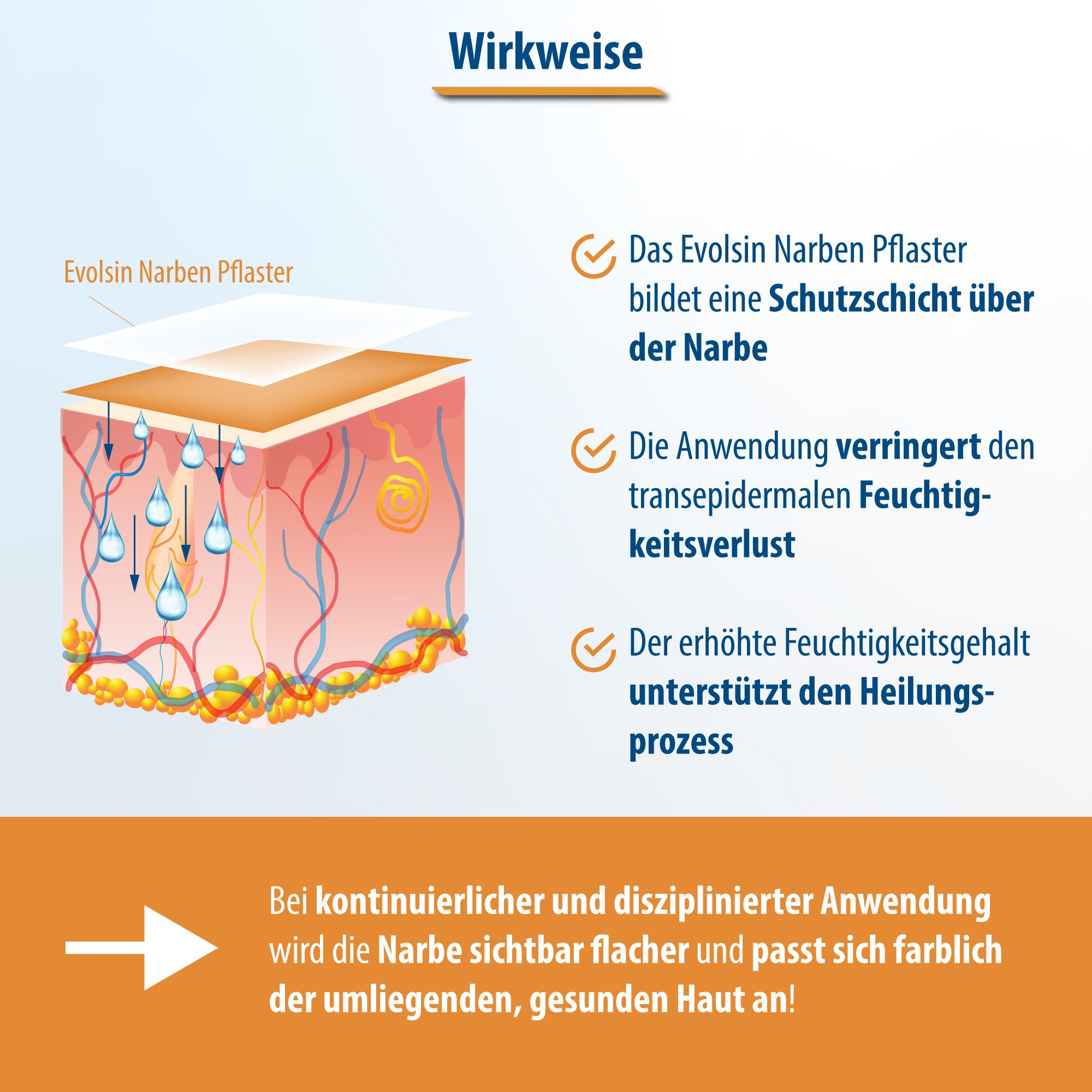 Evolsin Wundpflaster Transparentes Narbenpflaster bei OP & Kaiserschnitt Narben, Diskrete Anwendung, Optimale Anwendung, Atmungsaktives Silikon