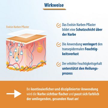 Evolsin Wundpflaster Transparentes Narbenpflaster bei OP & Kaiserschnitt Narben, Diskrete Anwendung, Optimale Anwendung, Atmungsaktives Silikon