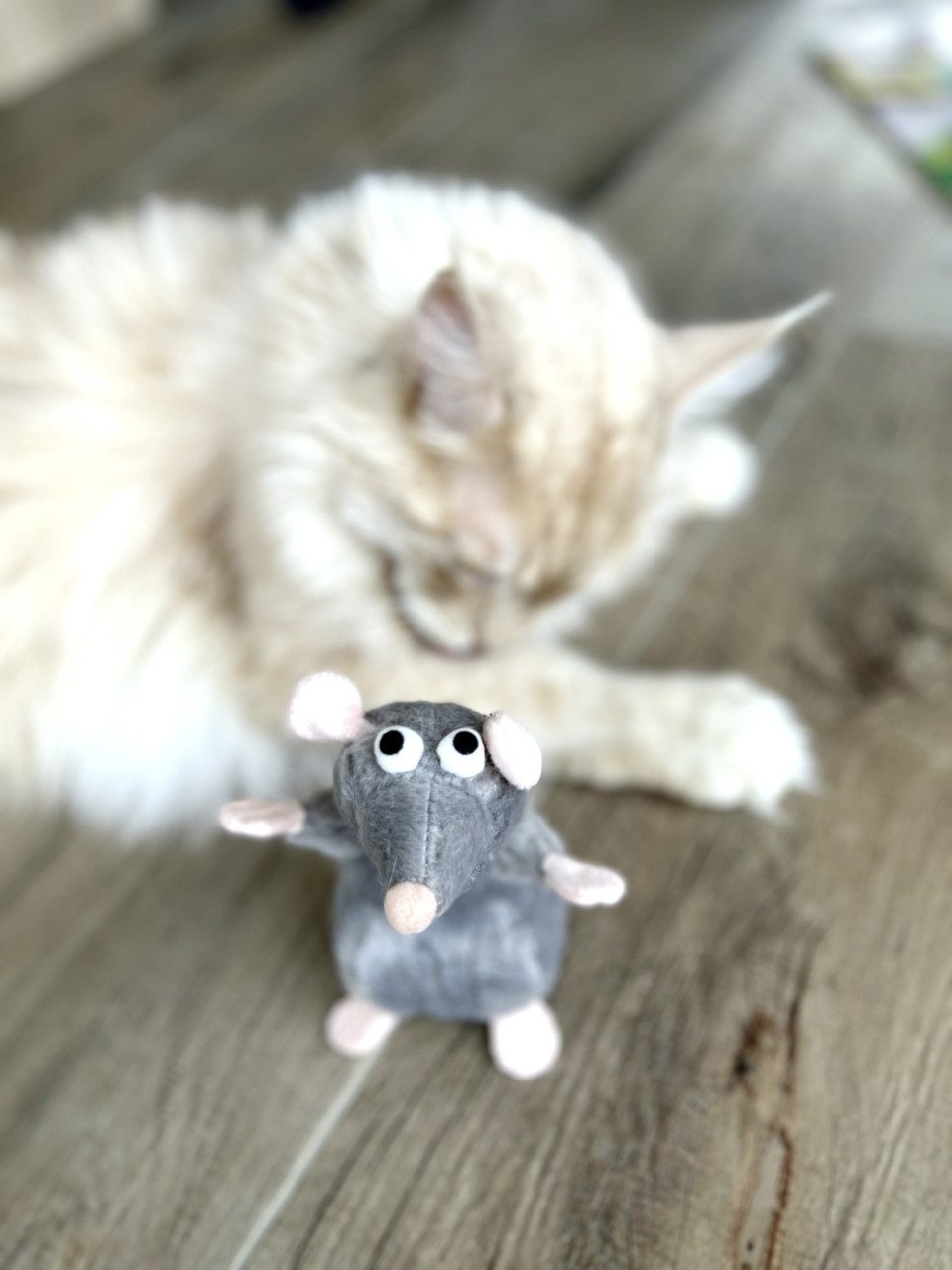 Aumüller Plüschmaus Aumüller Katzenkissen Ratte Cedric grau mit, Sand