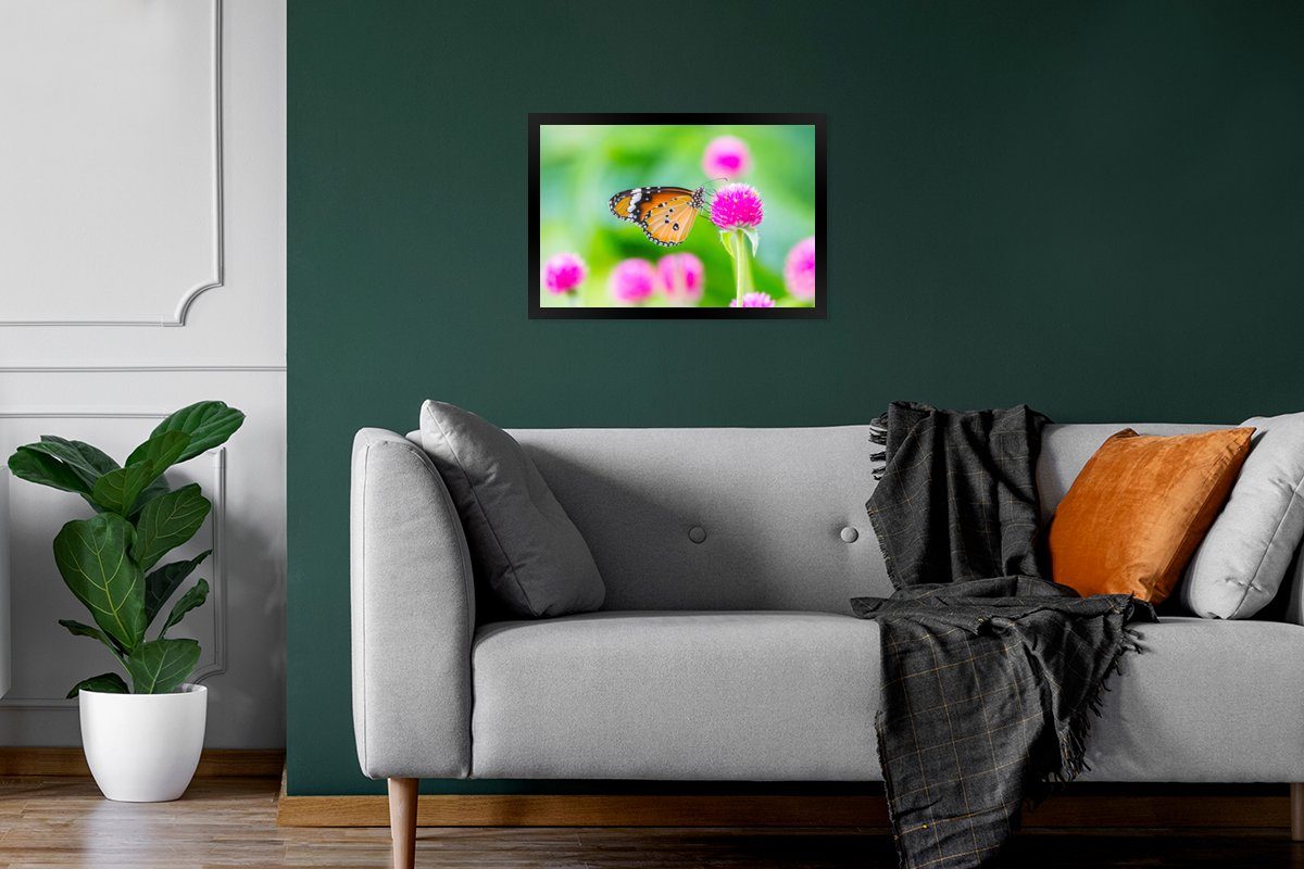 Wandposter, (1 Distel Poster MuchoWow Bilderrahmen - Bilder, Poster, Wanddeko, St), Schwarzem Blume, - - Gerahmtes Schmetterling Landleben