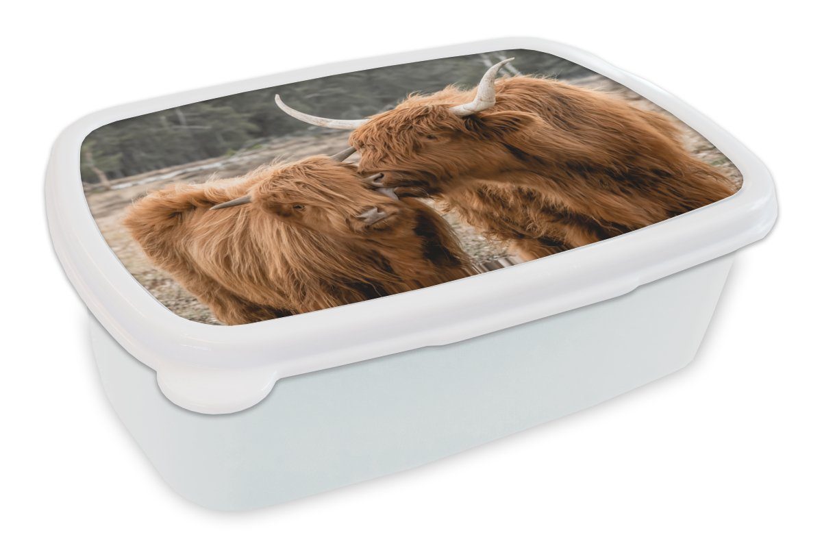 MuchoWow Lunchbox Schottischer Highlander - Tiere - Wald, Kunststoff, (2-tlg), Brotbox für Kinder und Erwachsene, Brotdose, für Jungs und Mädchen weiß