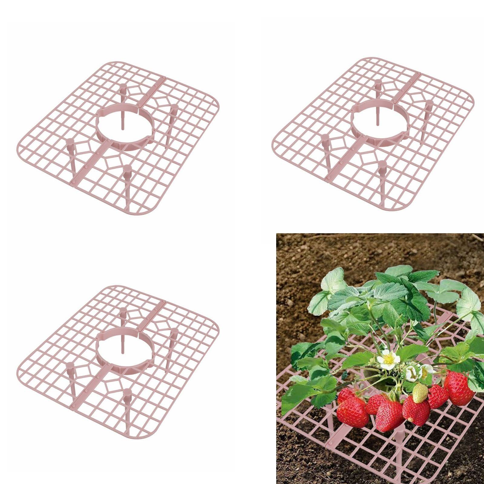 SEEZSSA Blumenständer 10 Stück Erdbeer-Pflanzenstützung für Gartenständer,Gemüserega, Dreidimensionaler Erdbeerständer mit 4 Beinen,25 x 20 x 9 cm Rosa