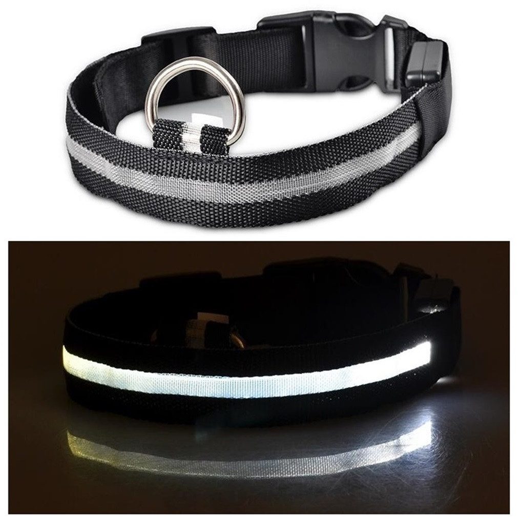 Hundehalsbandleuchte Hundehalsband Leuchthalsband Hund LED USB Aufladbar