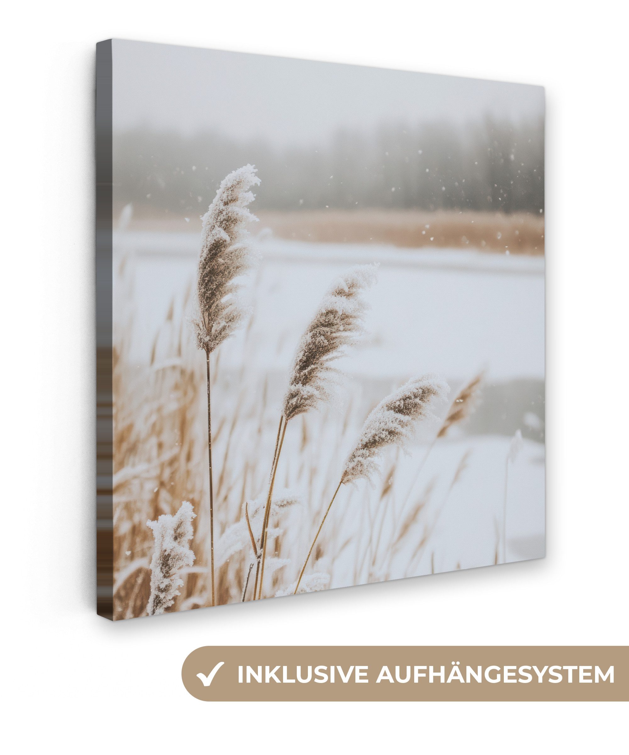 OneMillionCanvasses® Leinwandbild Schilf - See - Winter - Natur - Schnee - günstig online kaufen