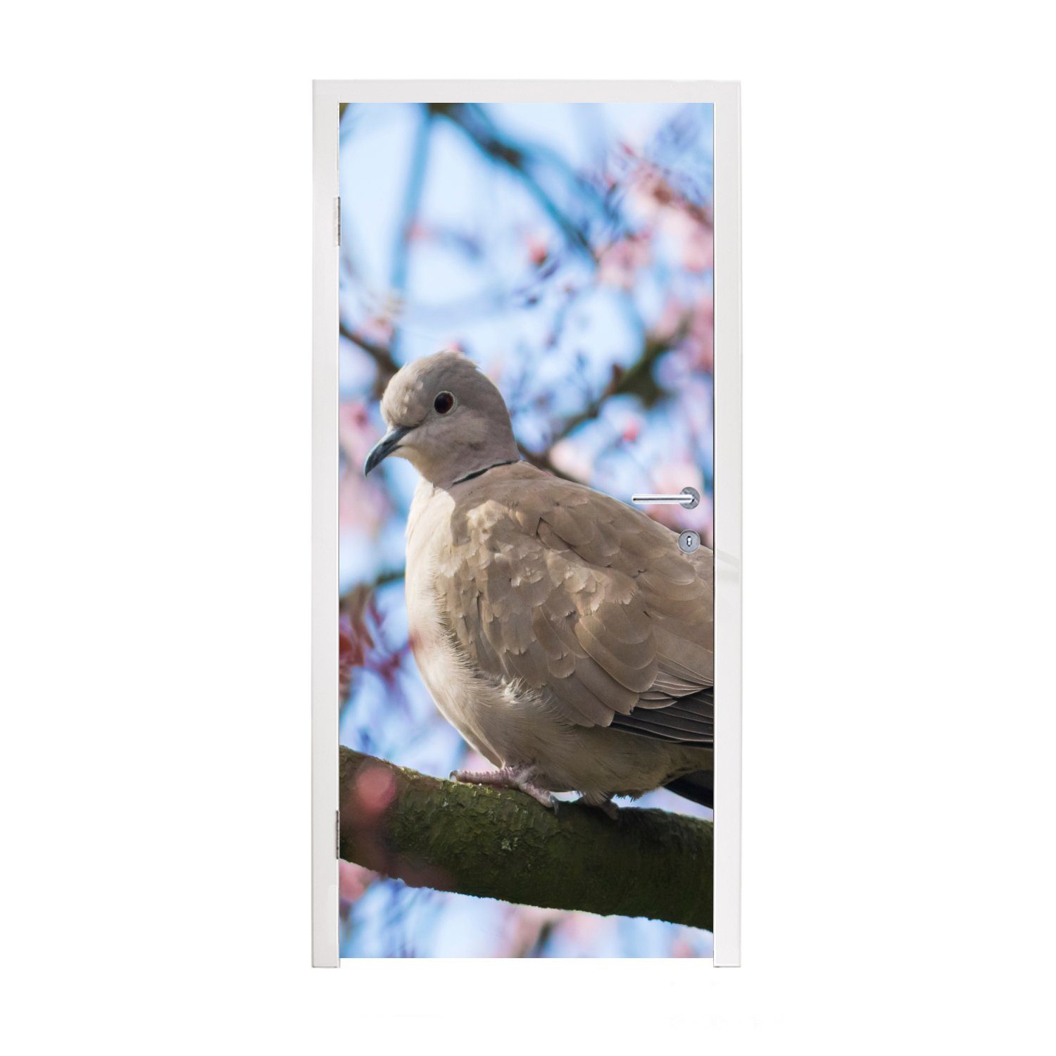 Türaufkleber, Vogel Tür, - Rosa, St), - Fototapete bedruckt, Türtapete - (1 - MuchoWow Matt, cm Taube Blütenzweige Blumen für 75x205