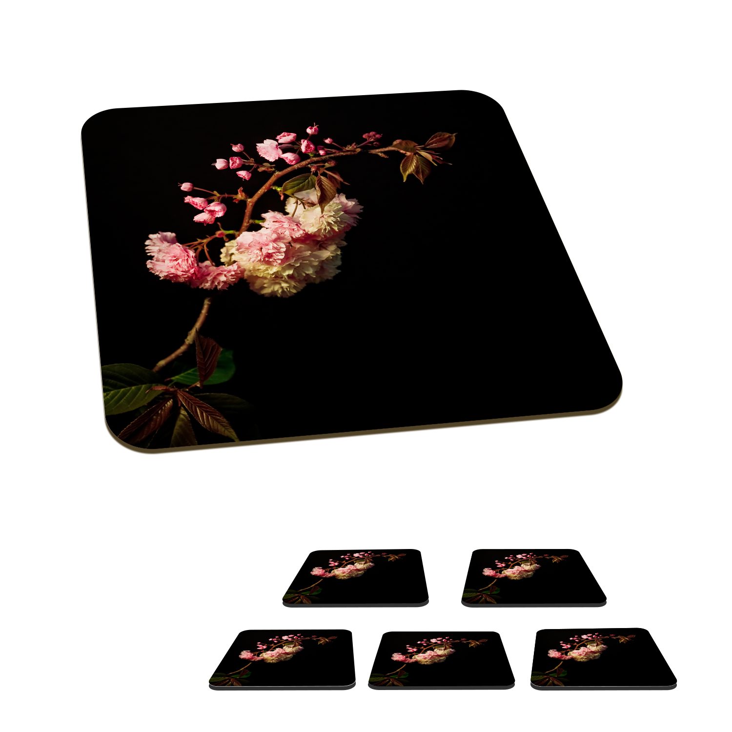 MuchoWow Glasuntersetzer Eine Kirschblüte vor schwarzem Hintergrund, Zubehör für Gläser, 6-tlg., Glasuntersetzer, Tischuntersetzer, Korkuntersetzer, Untersetzer, Tasse