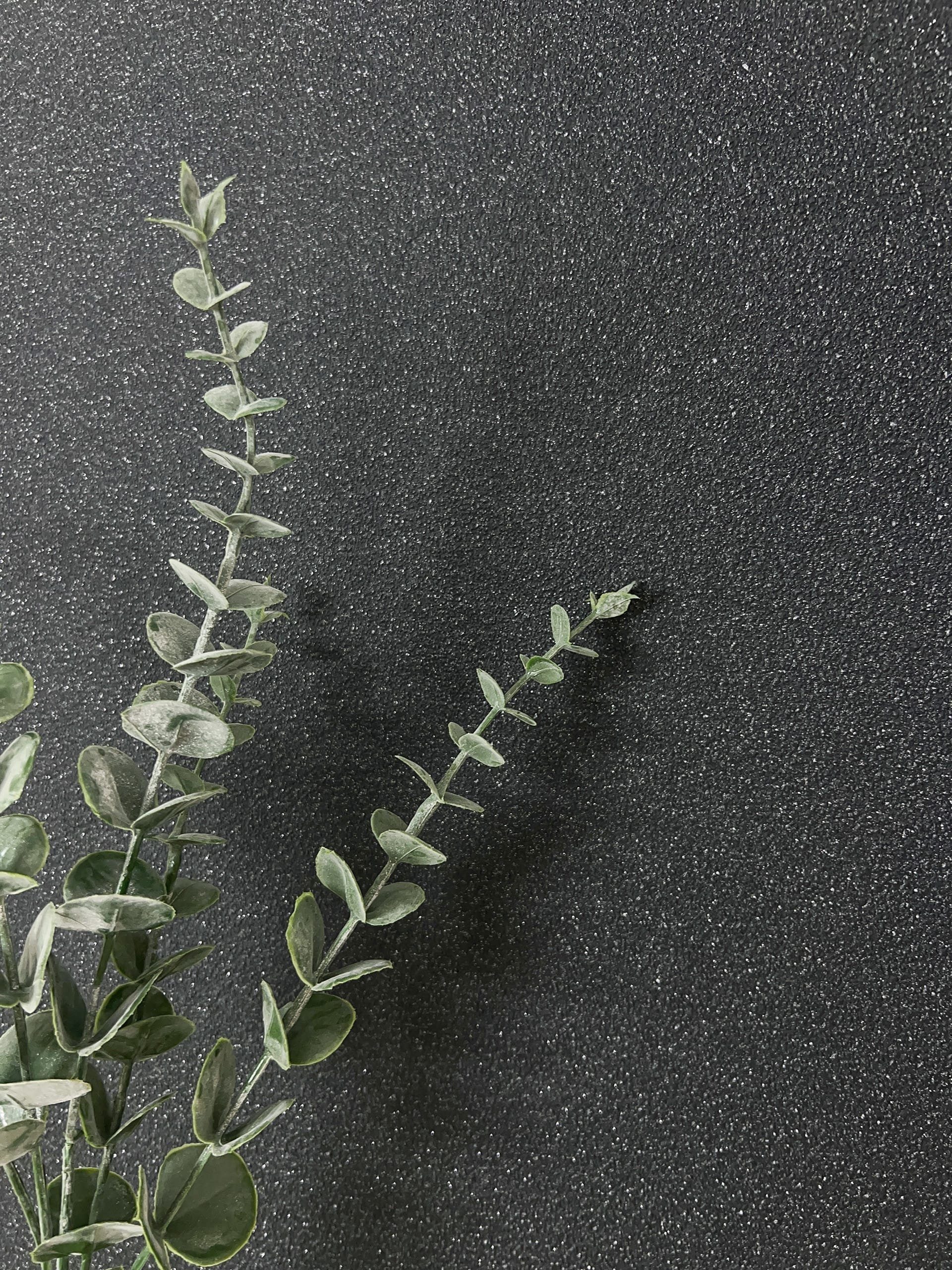 Newroom Vliestapete Zarall Tapete Universal Unifarbe,Struktur,Glitzer, Schw günstig online kaufen