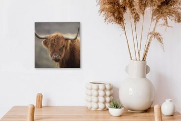 OneMillionCanvasses® Leinwandbild Schottischer Highlander - Licht - Porträt, (1 St), Leinwand Bilder für Wohnzimmer Schlafzimmer