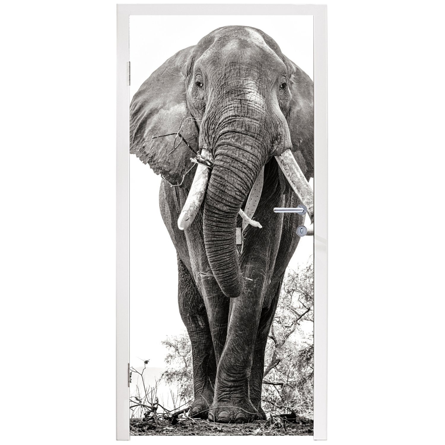 St), weiß, bedruckt, - (1 - MuchoWow Tür, Porträt Türtapete und cm 75x205 Tiere Elefant - Fototapete Schwarz für Matt, Türaufkleber,