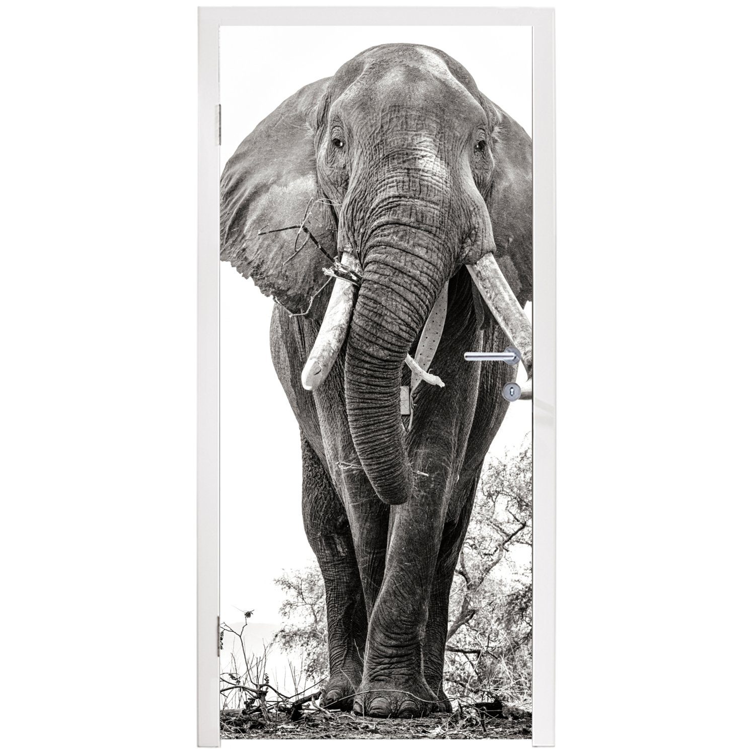 MuchoWow Türtapete Elefant - cm Fototapete Schwarz Türaufkleber, weiß, und - 75x205 für - St), bedruckt, Tür, Matt, Porträt Tiere (1