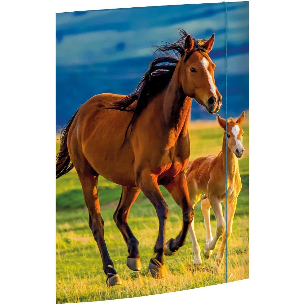 RNK Verlag Konferenzmappe 1 Zeichenmappe mit Gummizug 3 Klappen am Unterdeckel A3 - Free Horses