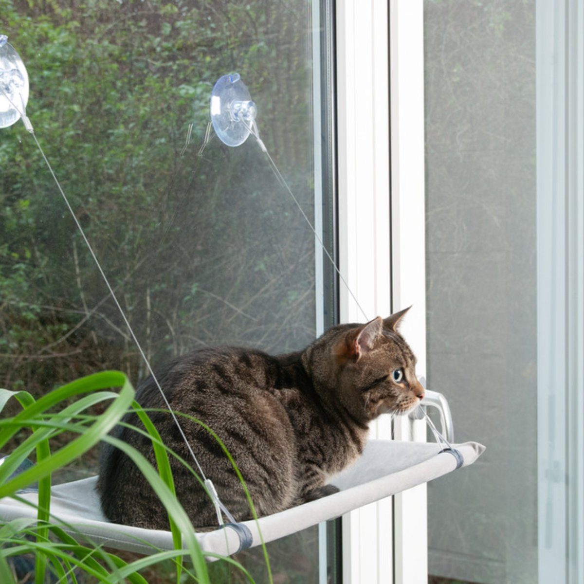 Karlie Katzen-Hängematte Window Lounger Katzenliege grau
