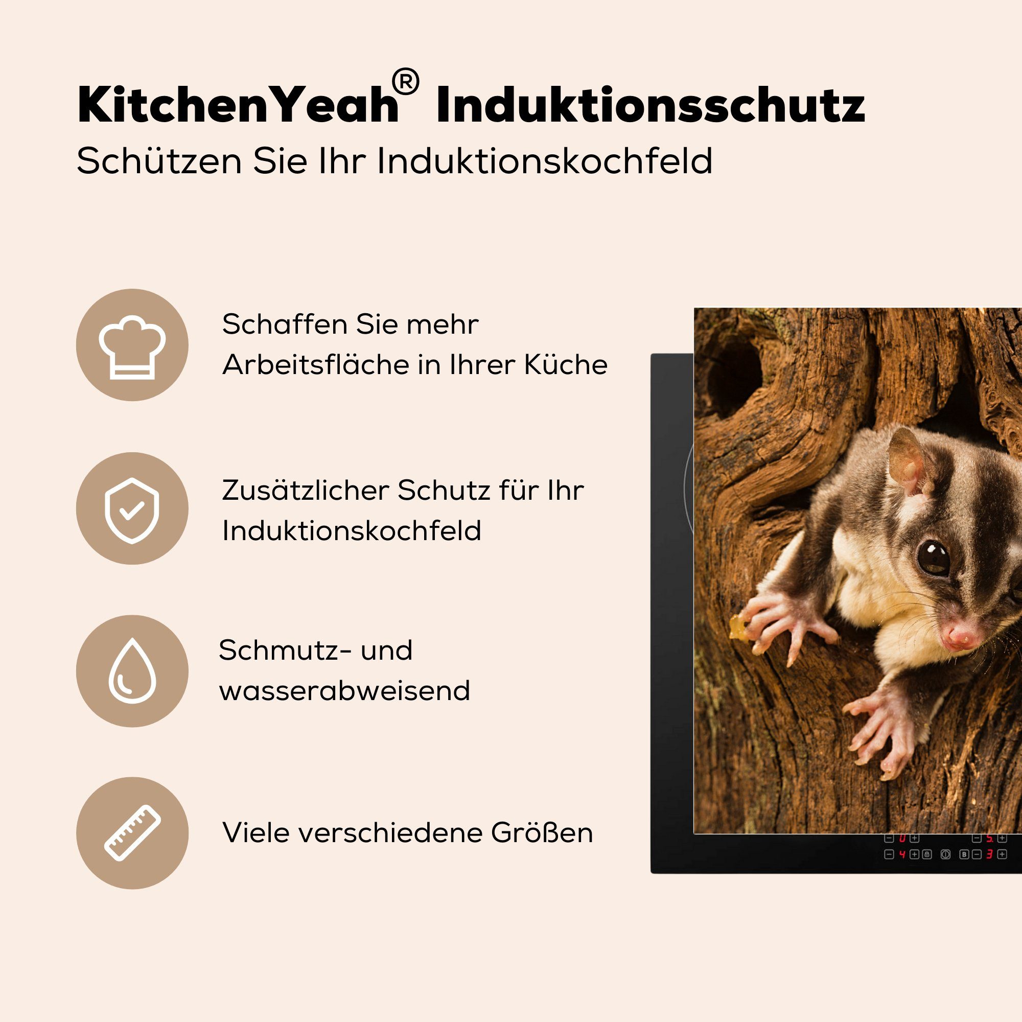 Eichhörnchen Herdblende-/Abdeckplatte küche im tlg), für MuchoWow cm, Arbeitsplatte Baum, Ceranfeldabdeckung, Vinyl, (1 78x78