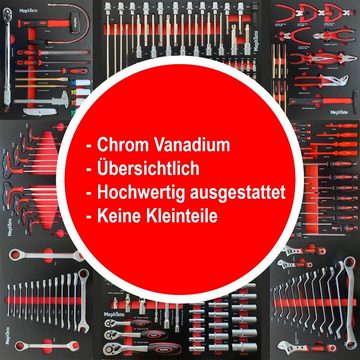 Mephisto-Tools Werkstattwagen, (fertig montiert und bestückt), 8 abschließbare Schubladen, je Schublade belastbar bis je 35 kg, 2 Schlüssel inkl., kugelgelagerte Rollen mit Gummierter Beschichtung, Werkzeug ist aus hochwertigem Chrom Vanadium Stahl, 1 seitliches Fach mit Ablage und separat abschließbarer Tür