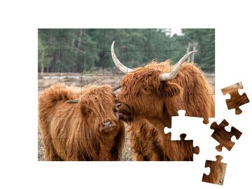 puzzleYOU Puzzle Schottisches Hochlandrind mit Kalb, 48 Puzzleteile, puzzleYOU-Kollektionen Rinder