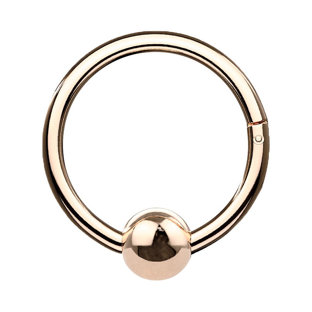 Taffstyle Nasenpiercing Septum Piercing Ohr Segmentring Scharnier Clicker mit Kugel, Ring Helix Lippe Nasenring Nasenpiercing Ohrpiercing Filigran Creole