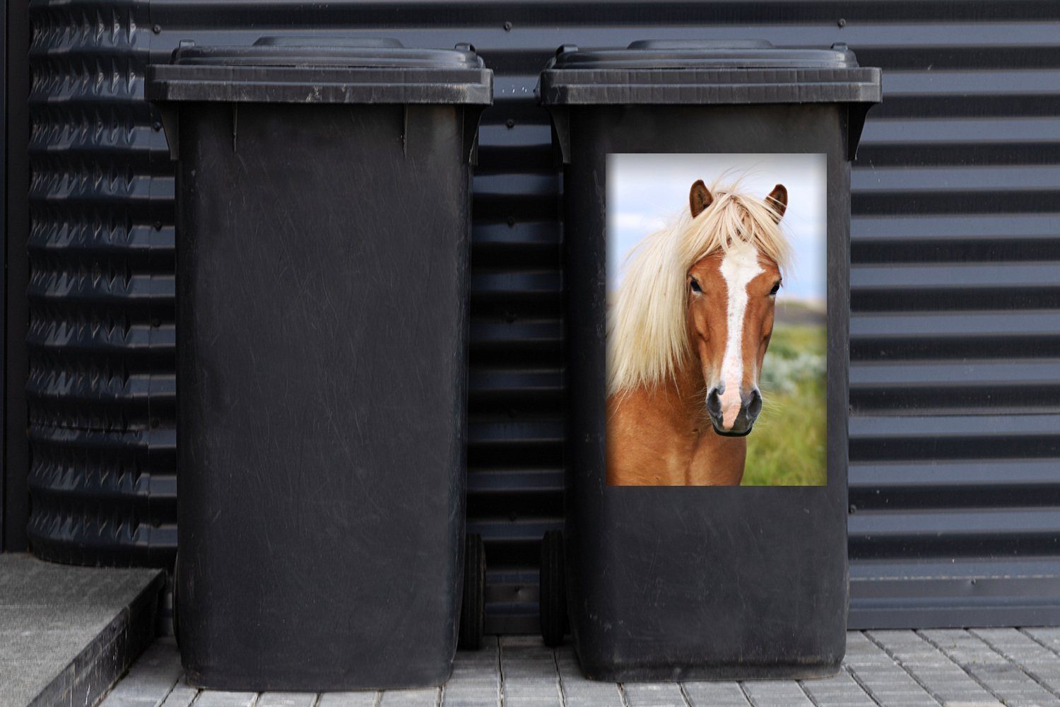 Islandpferdes eines MuchoWow Mülleimer-aufkleber, Wandsticker Sticker, St), Abfalbehälter (1 Mülltonne, Porträt Container,