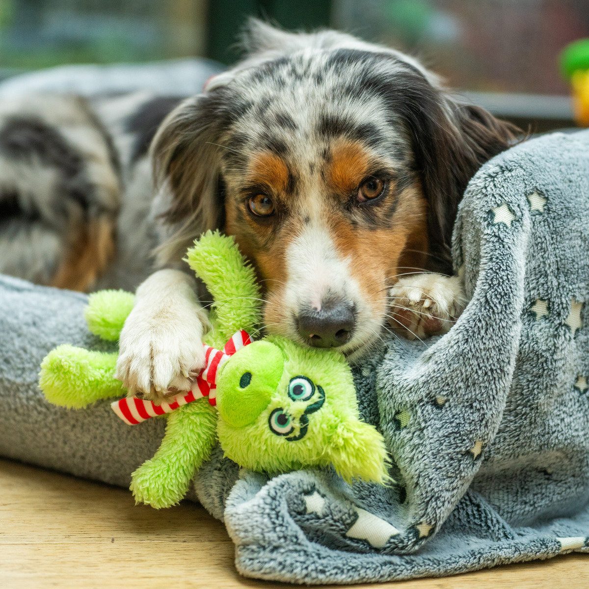 Nobby Tierkuscheltier Hundespielzeug Xmas Plüsch Grinch günstig online kaufen