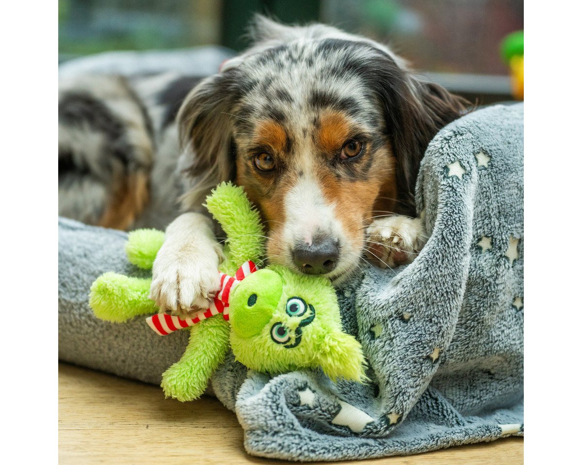 Thumbnail - Nobby Tierkuscheltier Hundespielzeug Xmas Plüsch Grinch grün