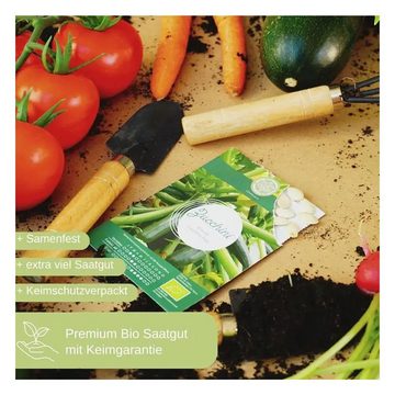 Romberg Anzucht- und Kräutererde Dein Bio Gemüsesamen Set (12 Samensorten) + POP UP Anzuchterde 1 L, (2-St)