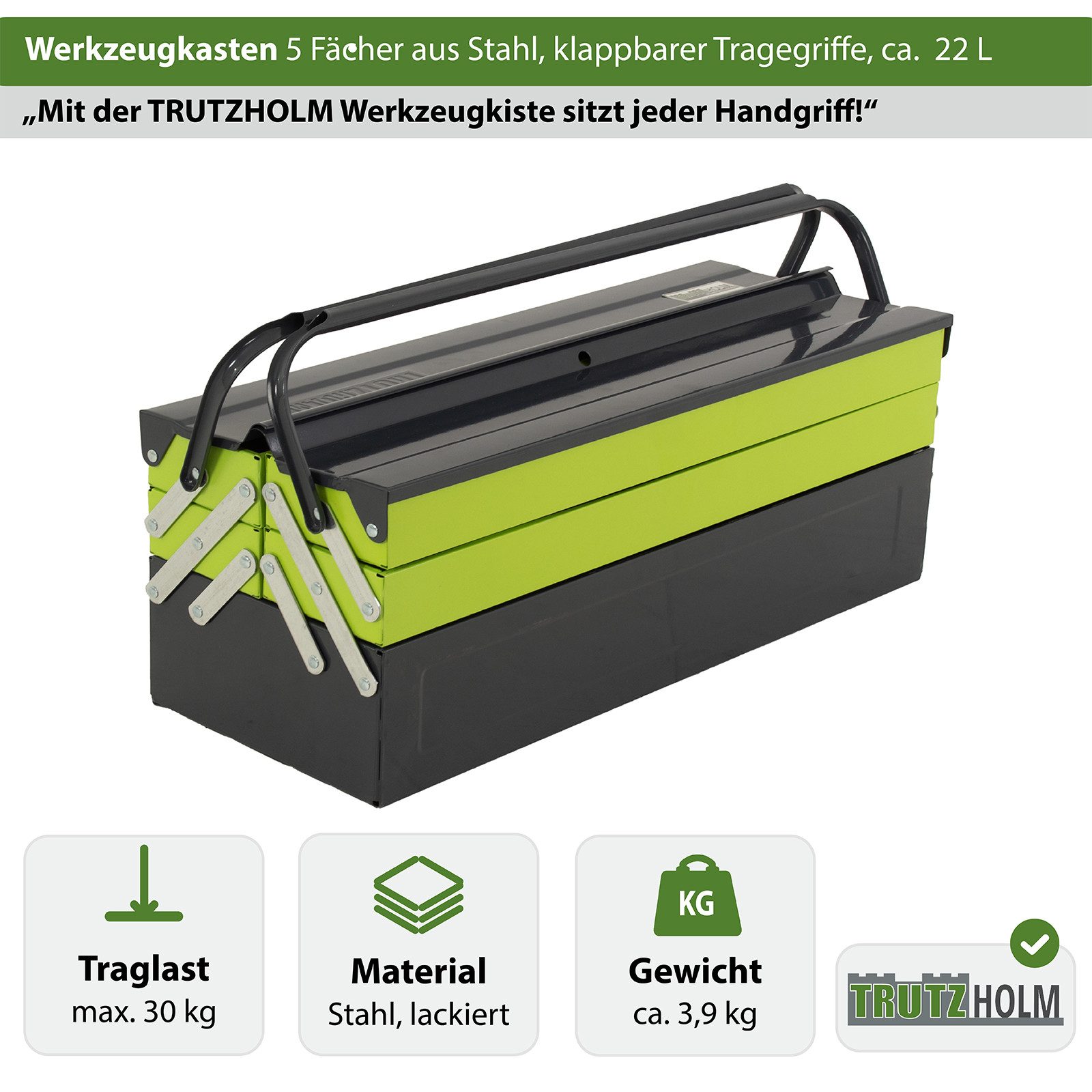 TRUTZHOLM Werkzeugkoffer Werkzeugkiste 53x20x21cm aus Stahl lackiert klappbarer Griff leer (1-teilig)
