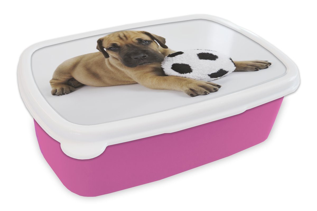 MuchoWow Lunchbox Ein brauner Welpe mit einem Fußball, Kunststoff, (2-tlg), Brotbox für Erwachsene, Brotdose Kinder, Snackbox, Mädchen, Kunststoff rosa