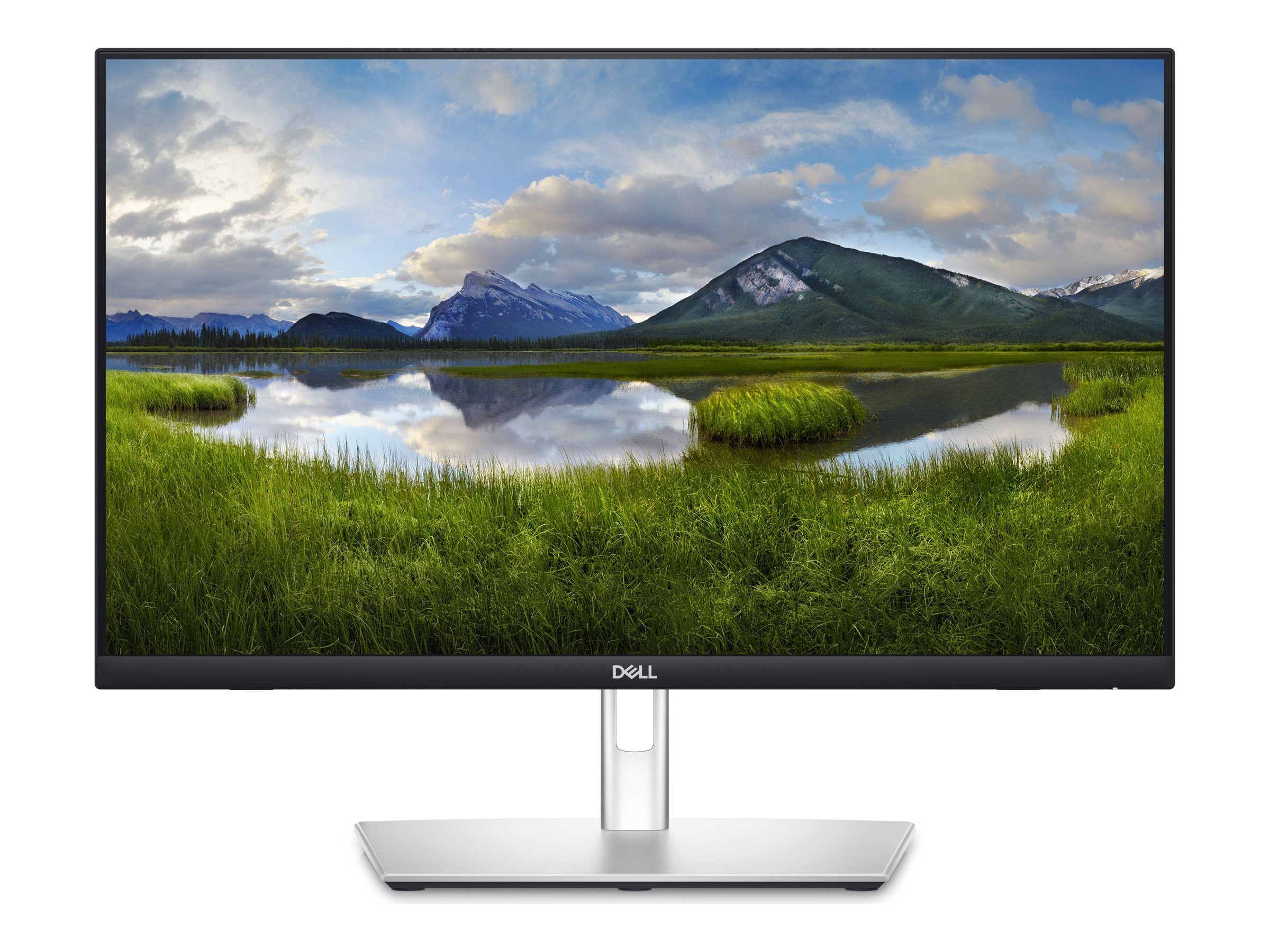 Dell Flüssiger Displayschutz