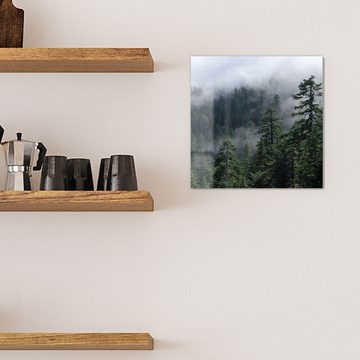 DEQORI Magnettafel 'Tannenspitzen im Nebel', Whiteboard Pinnwand beschreibbar