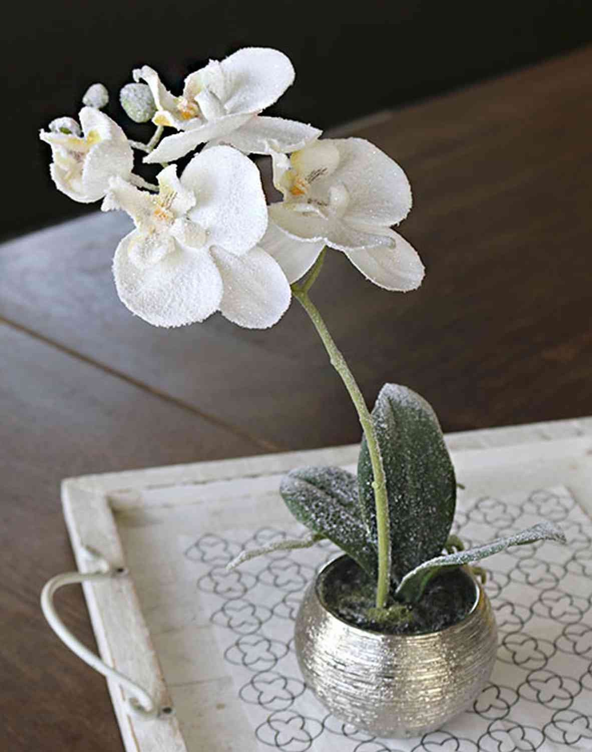 Kunstorchidee Phalaenopsis Orchidee künstlich Karen, Dekotopf, gefroren, weiß, 35cm Orchidee (Orchidee phalaenopsis), artplants, Höhe 35.0 cm