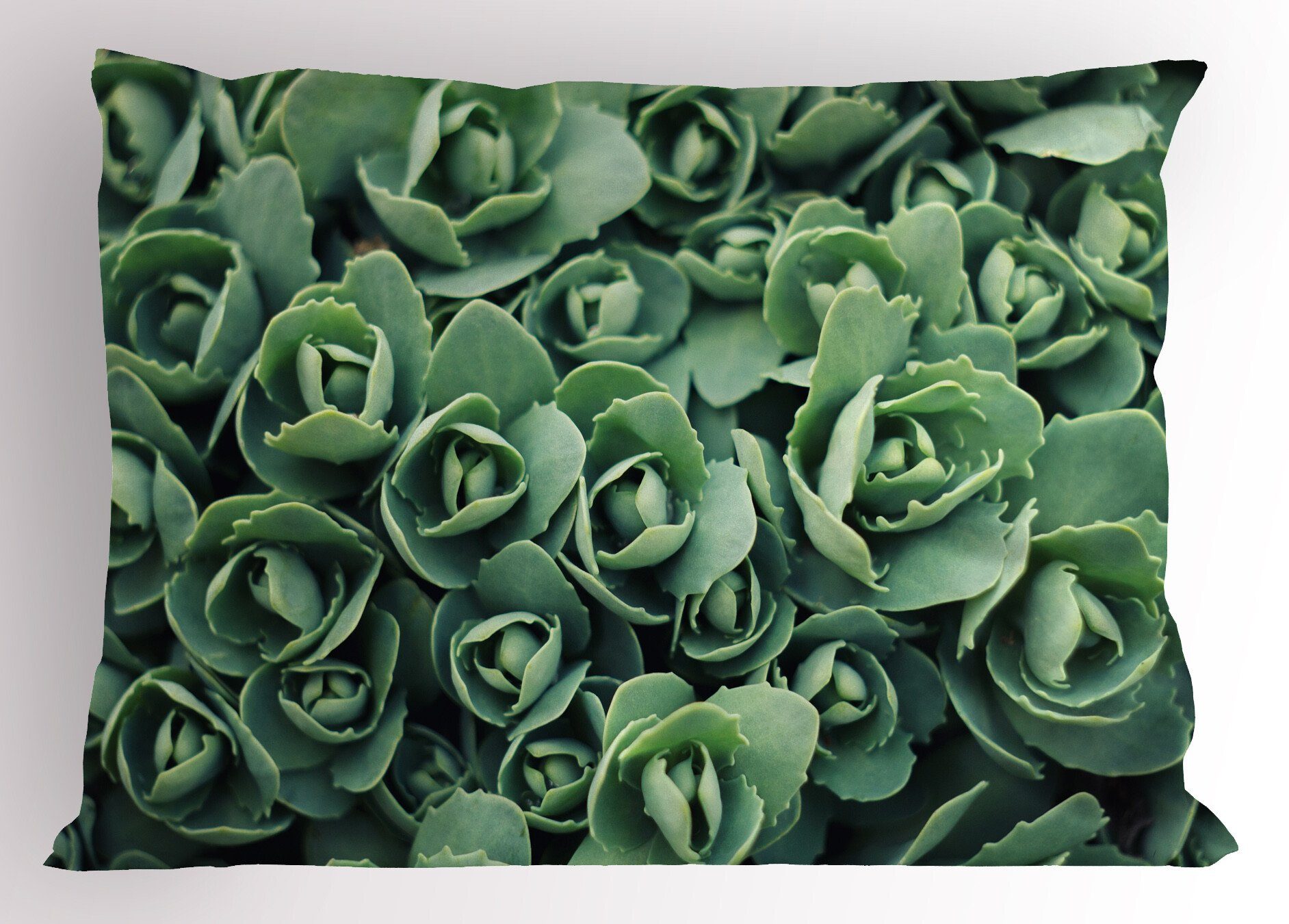 Kissenbezüge Dekorativer Standard King Size Gedruckter Kissenbezug, Abakuhaus (1 Stück), Natürliche Farbe Makro Blooming Blätter