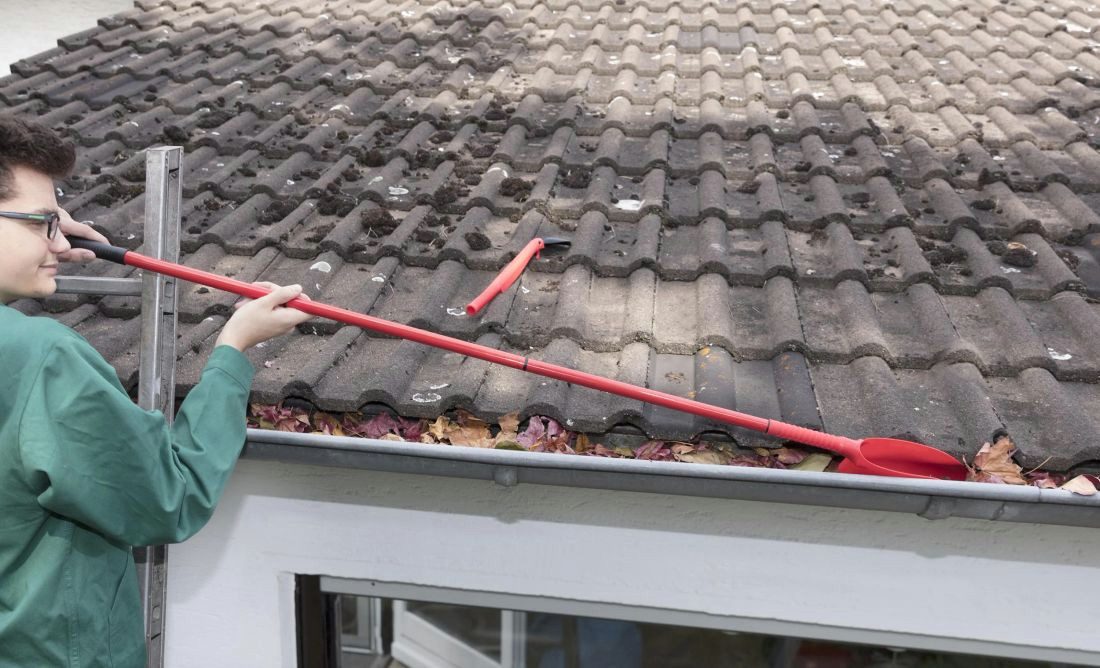 Westfalia Werkzeug Dachrinnenreiniger Dachrinnen Reinigungs-Set 5 teilig. Schaufel, Schaber, 3 Steckstiele