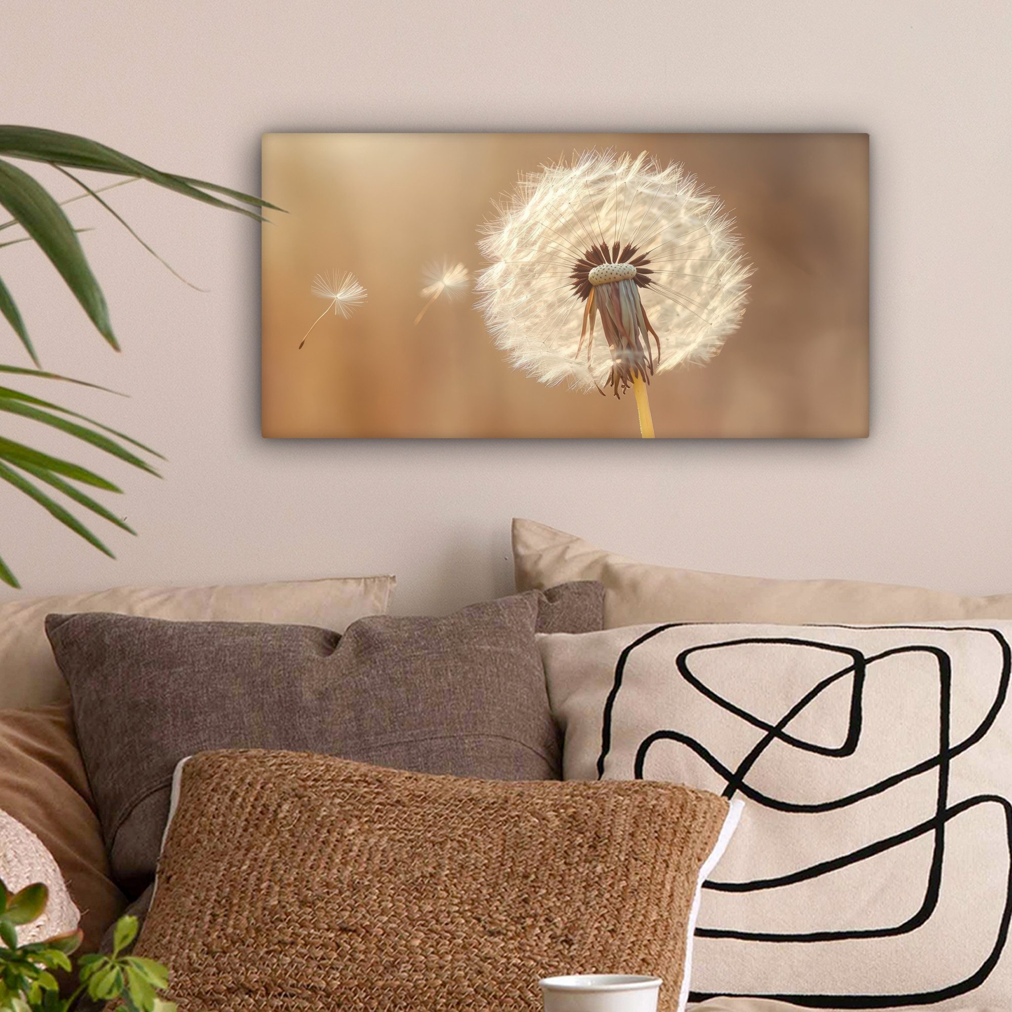 OneMillionCanvasses® Leinwandbild Panorama Löwenzahn - Beige - Natur - Blum günstig online kaufen