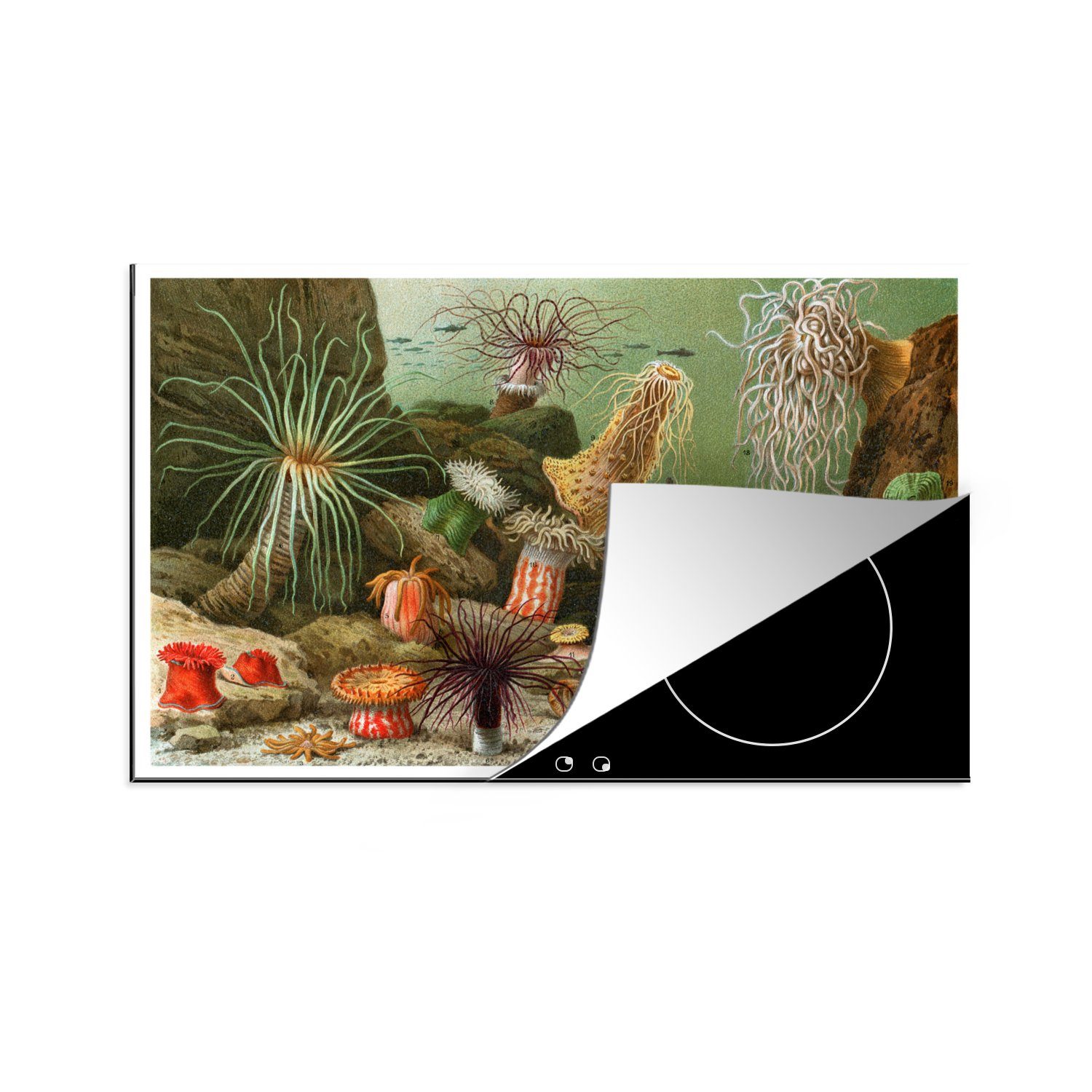 MuchoWow Herdblende-/Abdeckplatte Unterwasser - Illustration - Natürlich, Vinyl, (1 tlg), 81x52 cm, Induktionskochfeld Schutz für die küche, Ceranfeldabdeckung