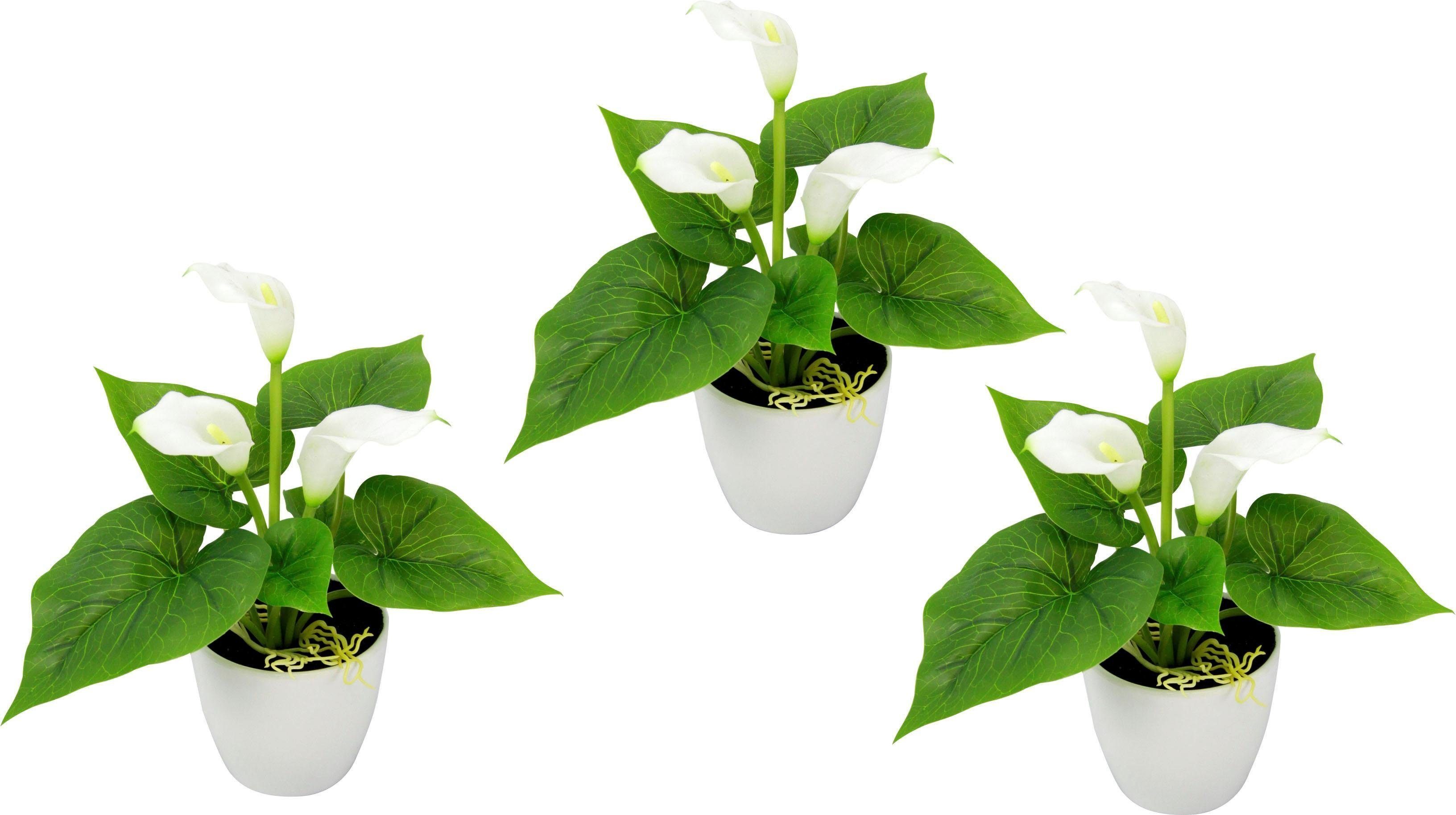 Kunstpflanze Mini Calla